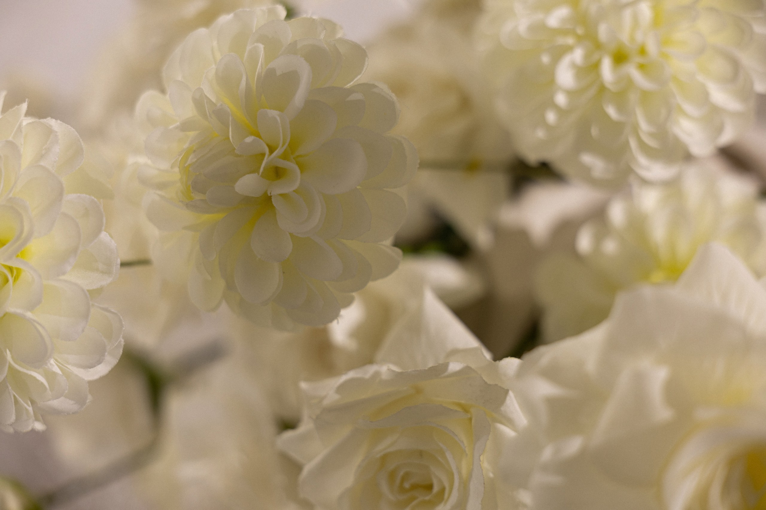 И/А. Вебер Юлия фотограф Ростов-на-Дону