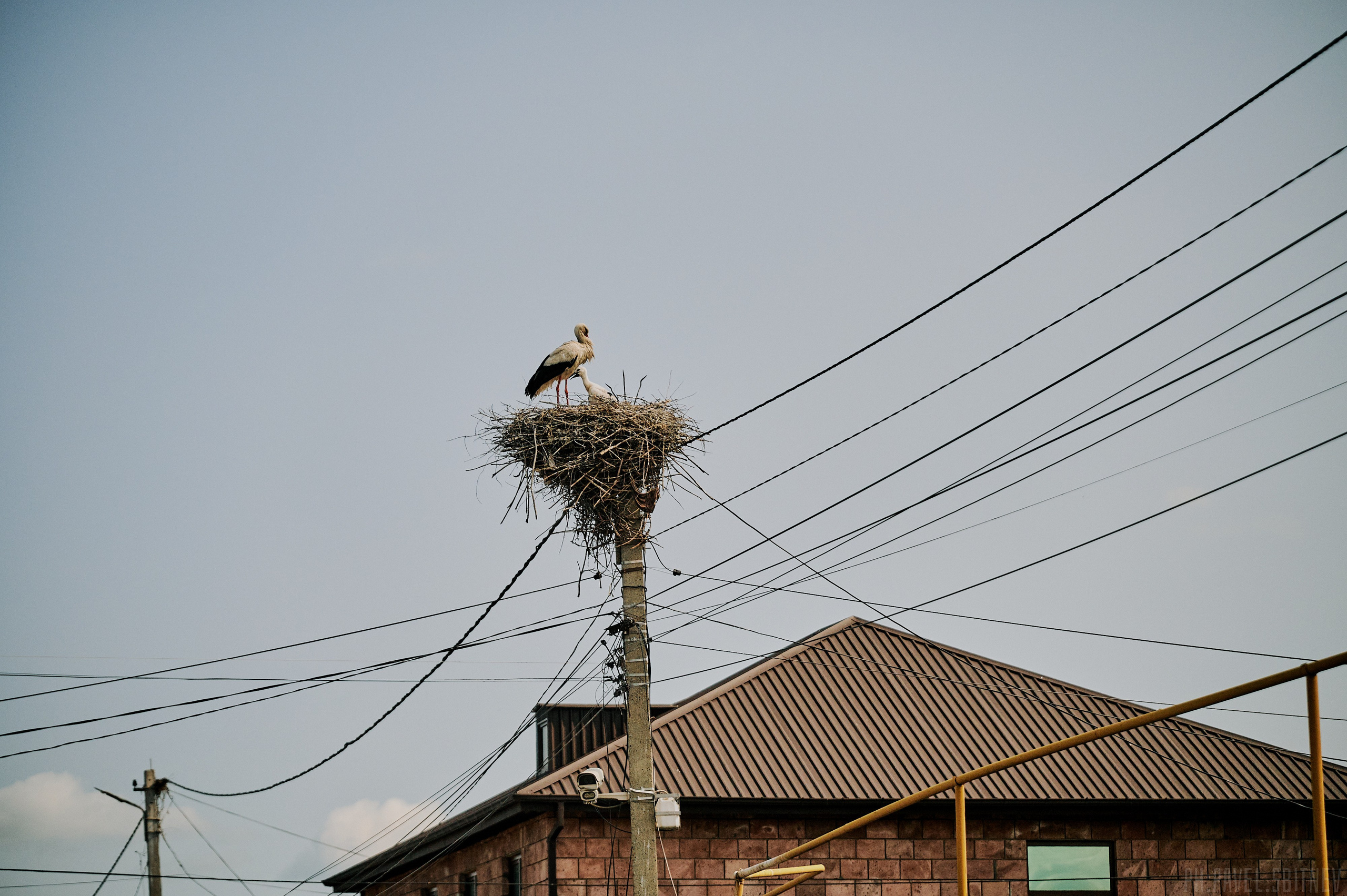 Trevel-тур с турфирмой «Команда Горький». Студия PHOTONEBO.RU