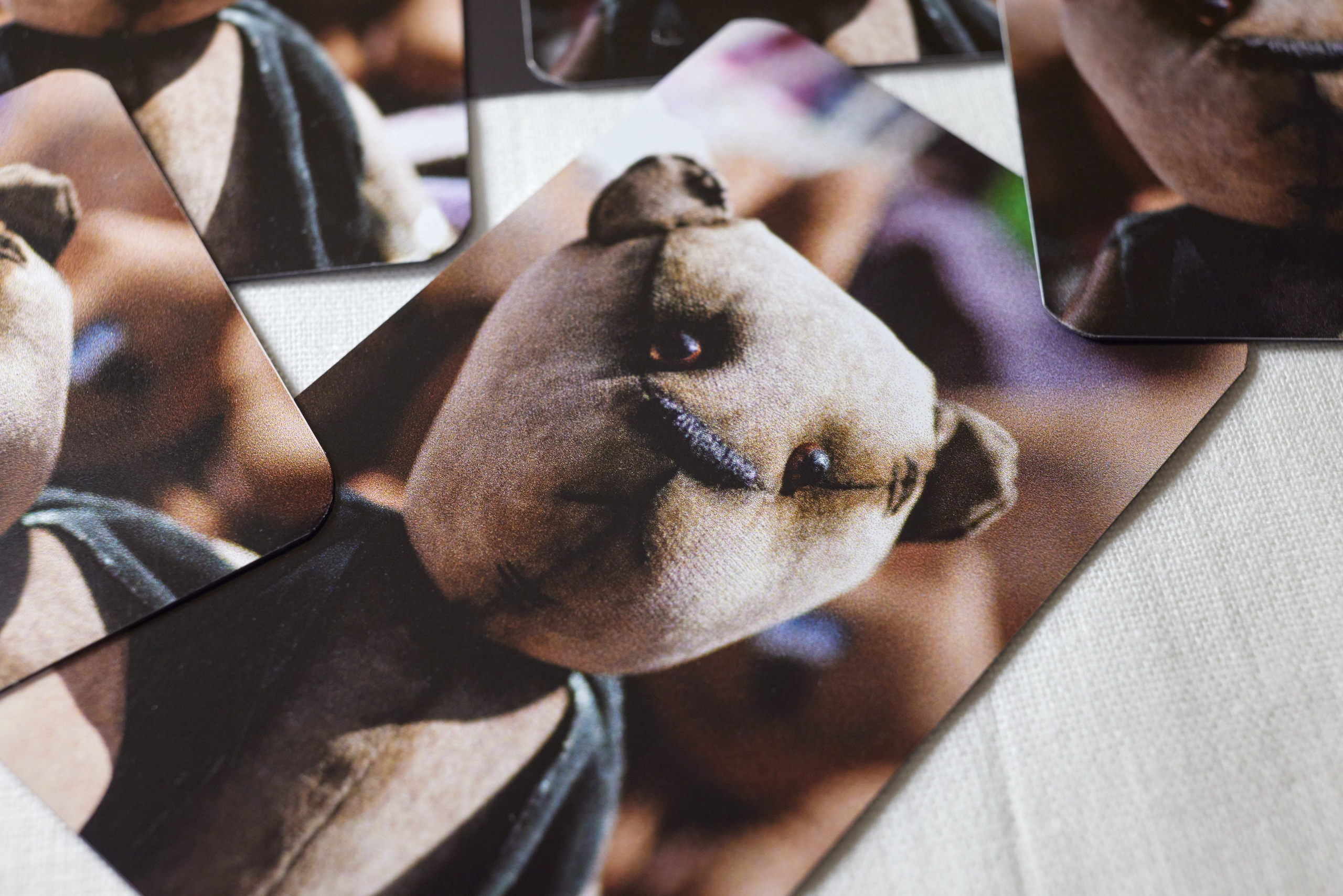 Виниловый магнит. Имидж Технологии — Производство сувенирных магнитов, заливных этикеток и значков. Репортажная фотография в Кирове Кировской области