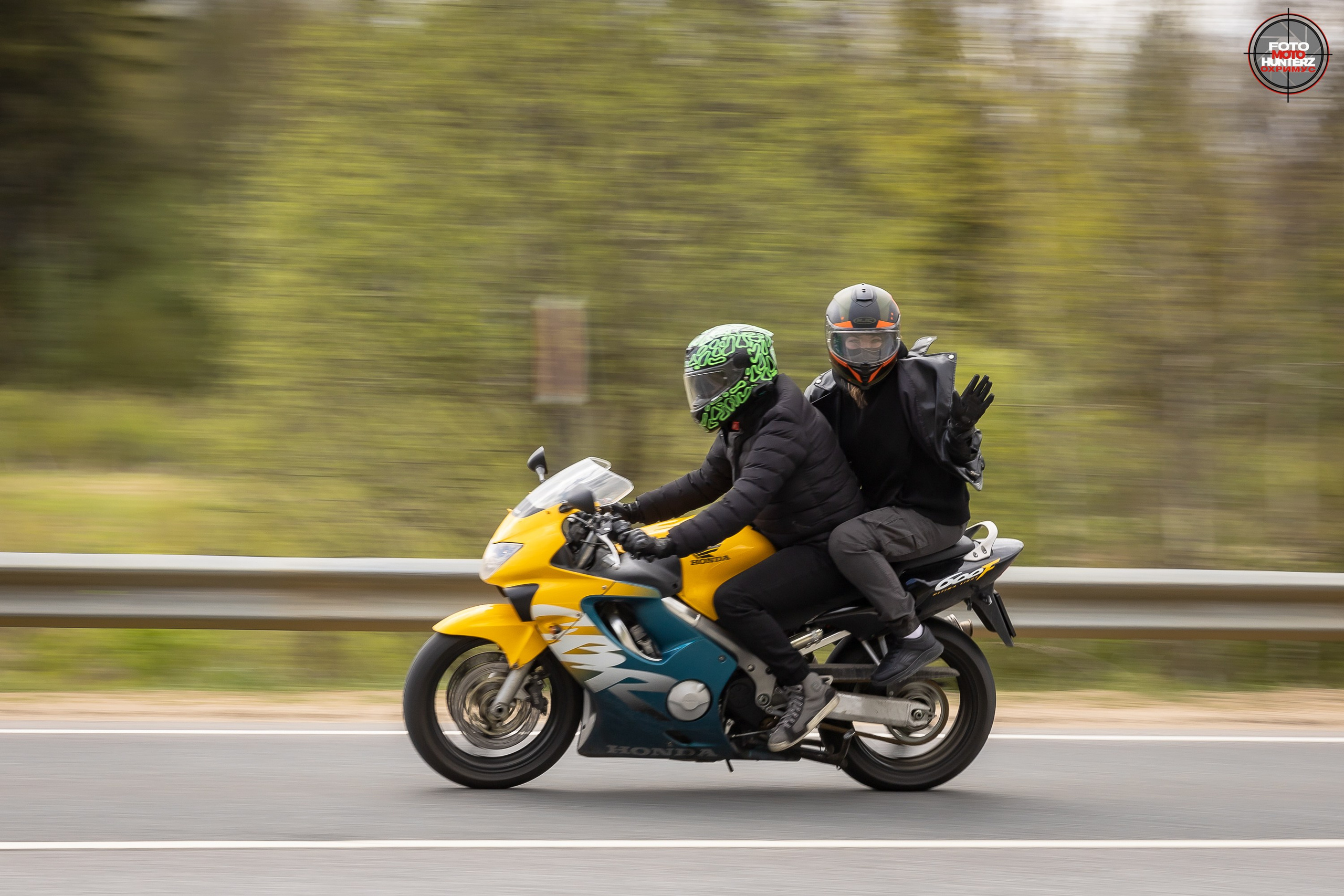 Первое Сафари в 2025 г. на Рогачевском ш. Фотограф Владимир Охрименко