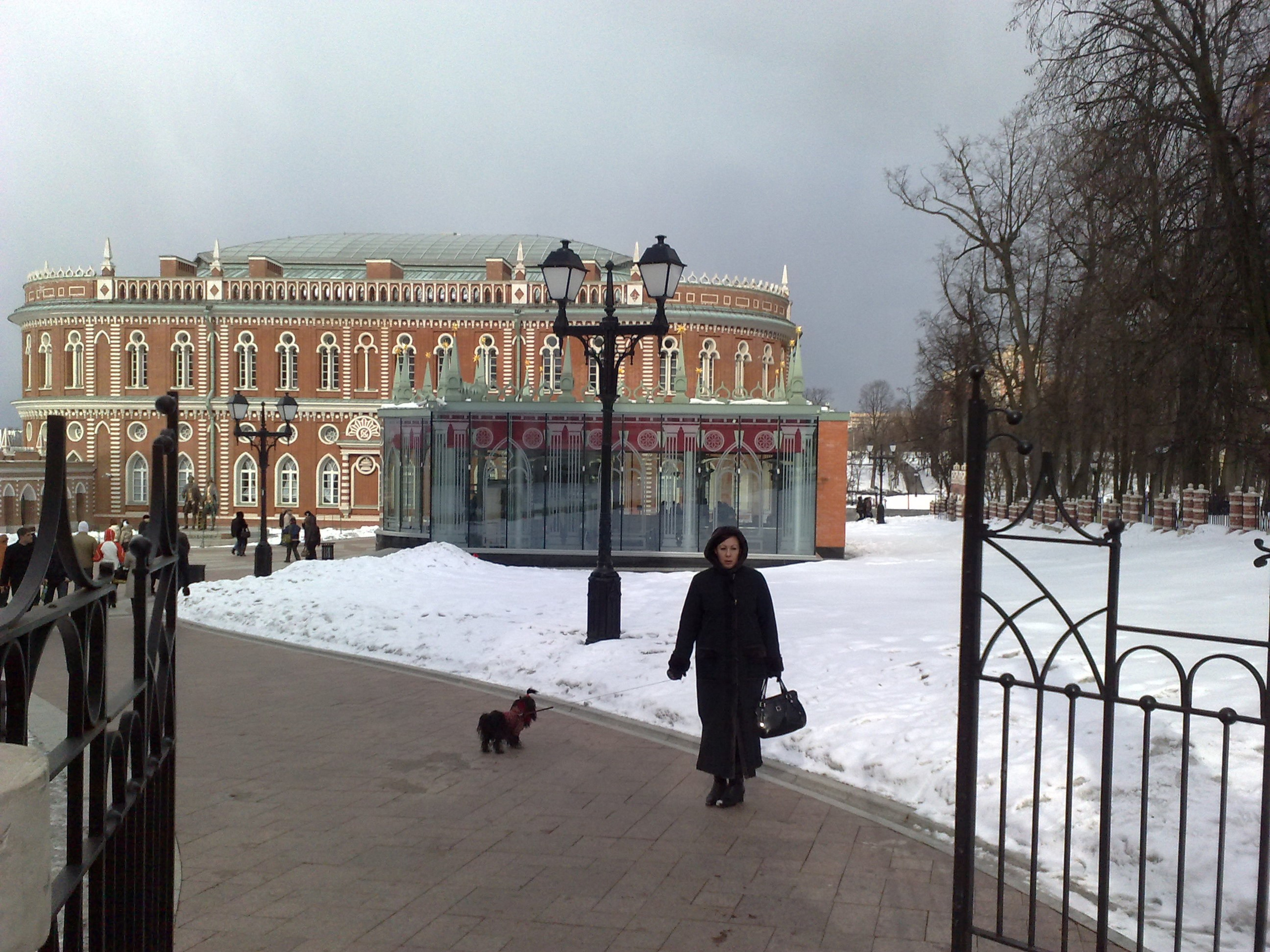 Царицино музей-усадьба. Питомник китайских хохлатых собак Poale Ell: купить щенка в питомнике