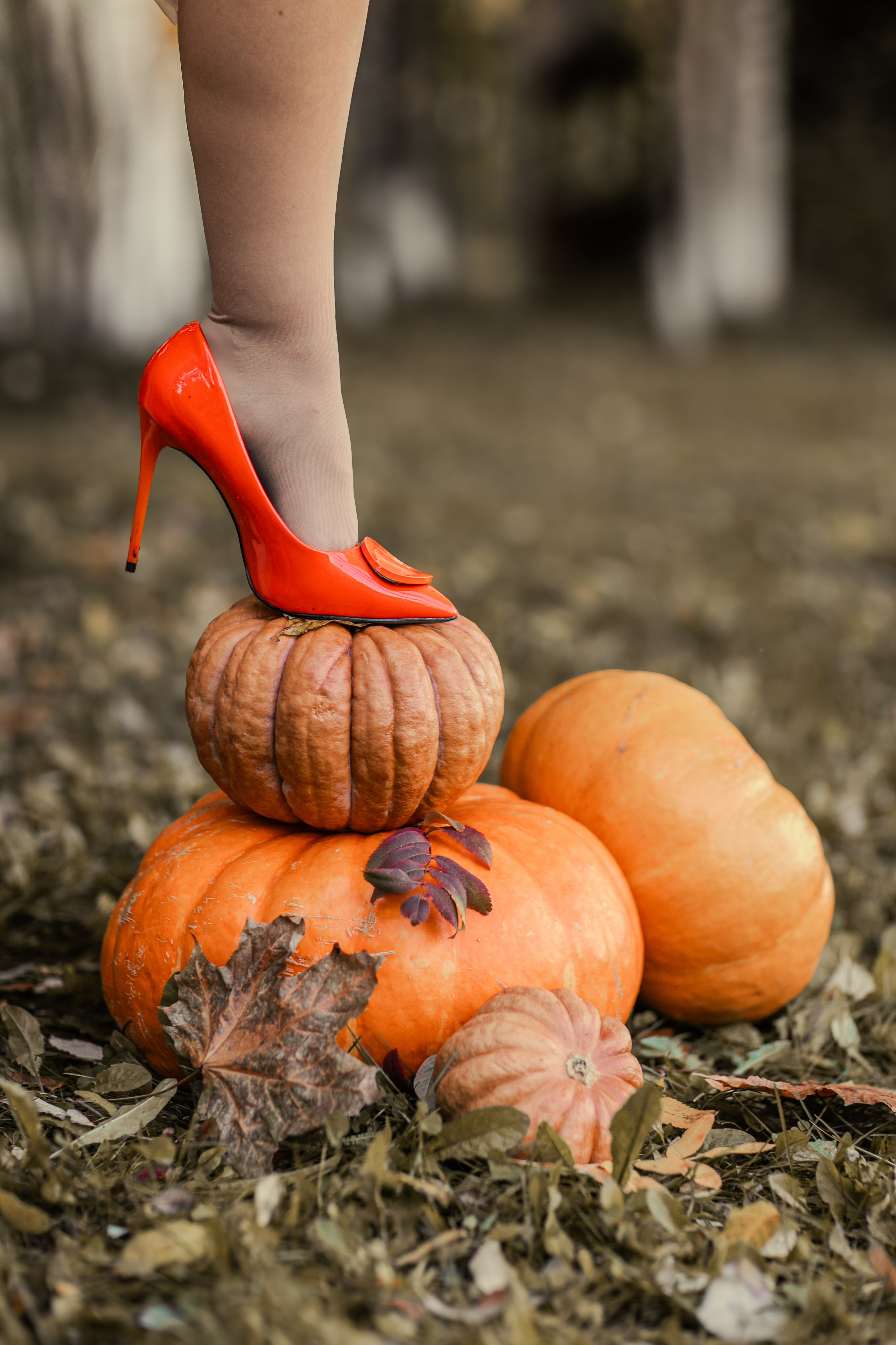 Очарование октября. Фотограф Елена Вишневская (Ушакова) Нефтеюганск, Сургут, Тюмень