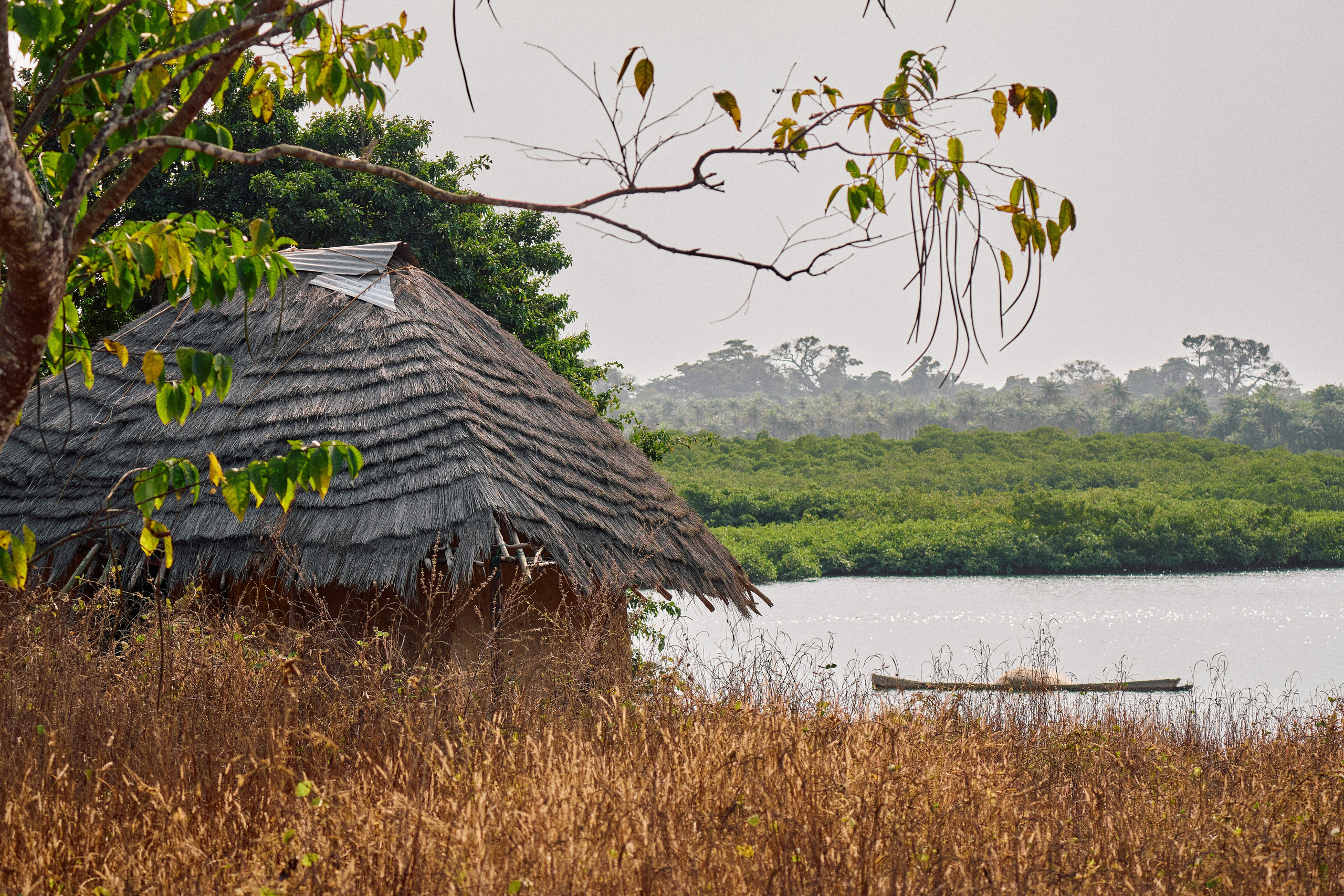 Guinea-Bissau. See the moment and catche. commercial and reportage
