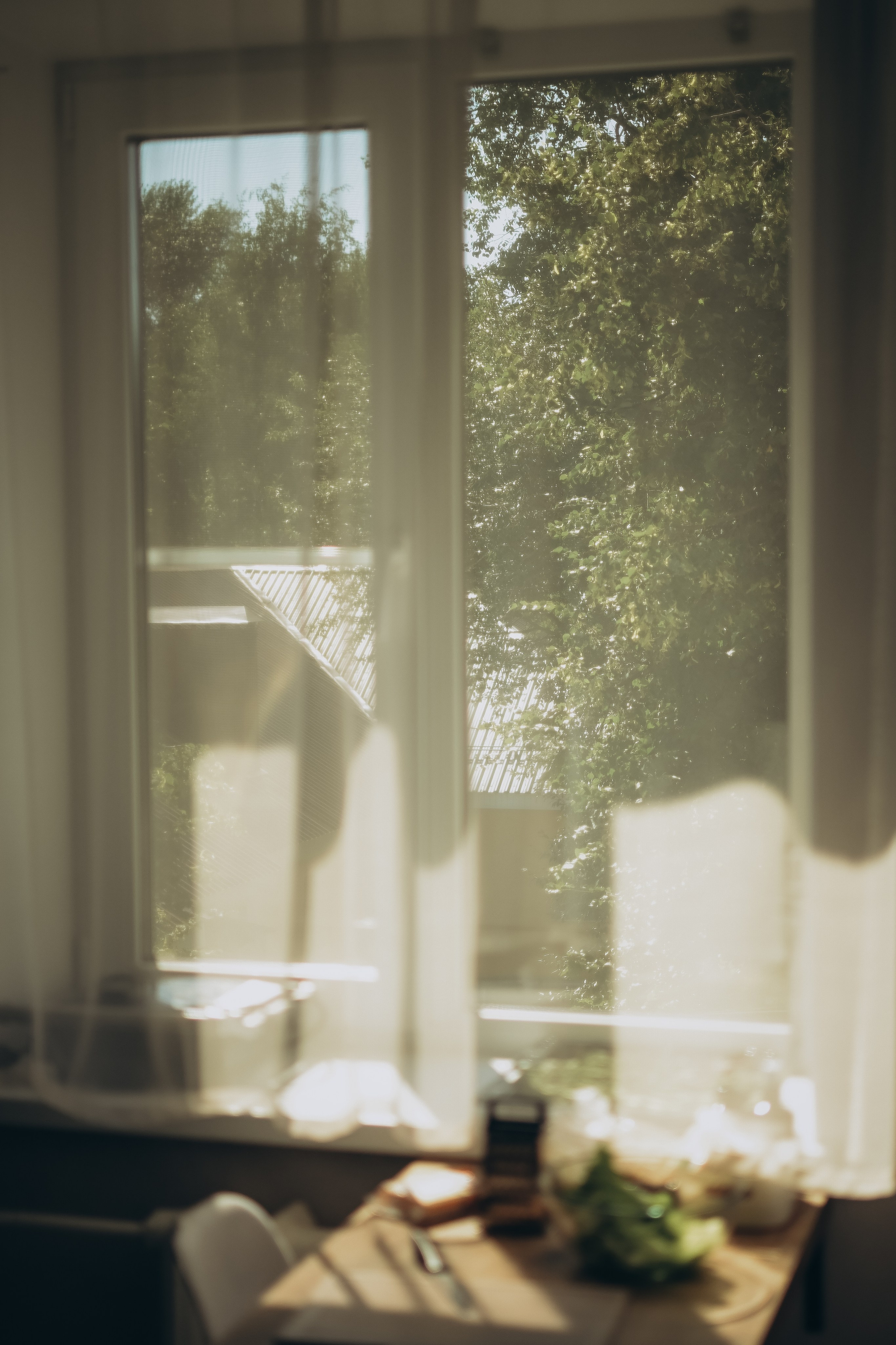 Диана и Даня. Домашняя съёмка. Евгения Черных I Фотограф Пенза