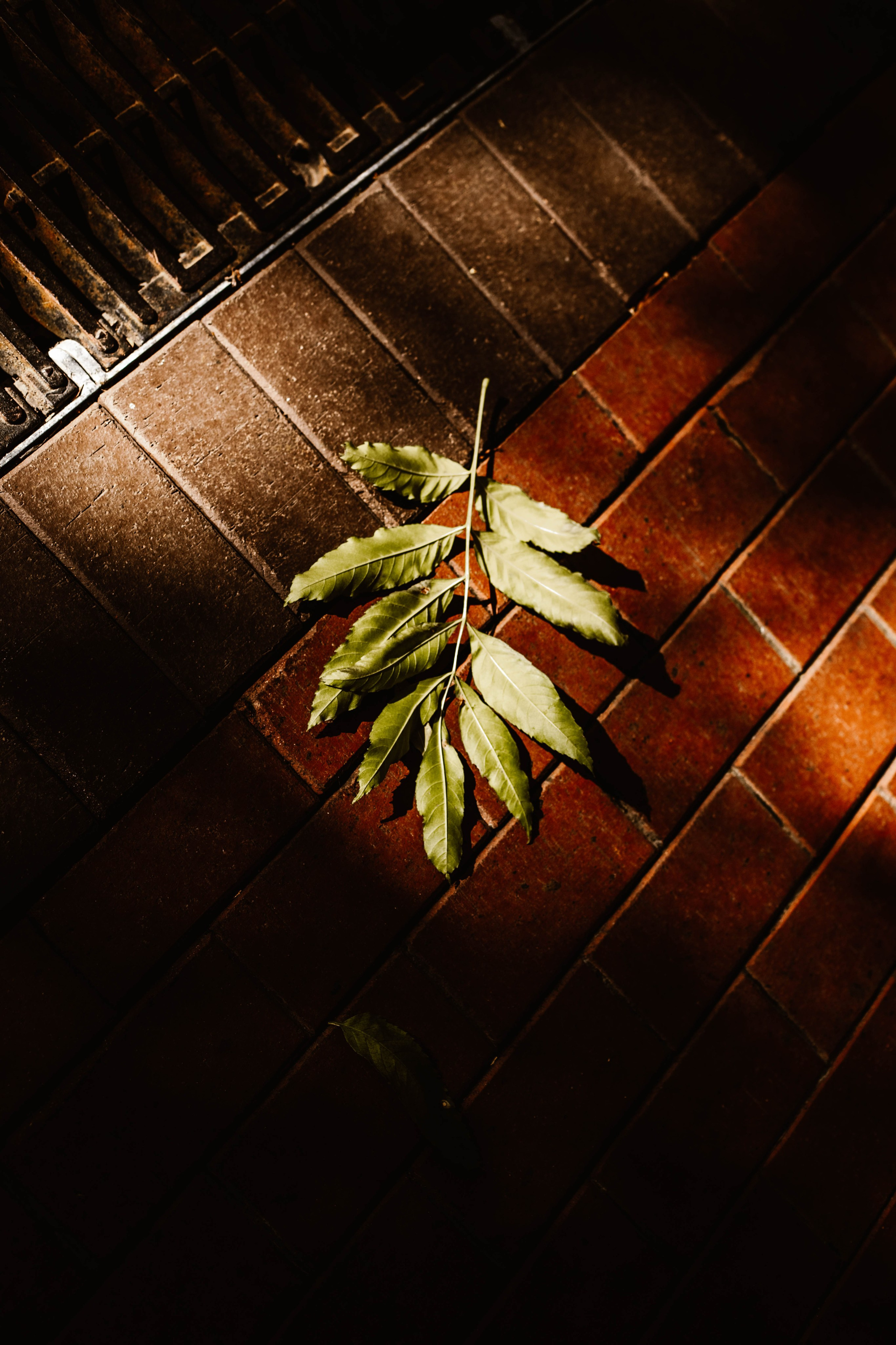 Мария. Колесо обозрения. Фотограф в Нижнем Новгороде