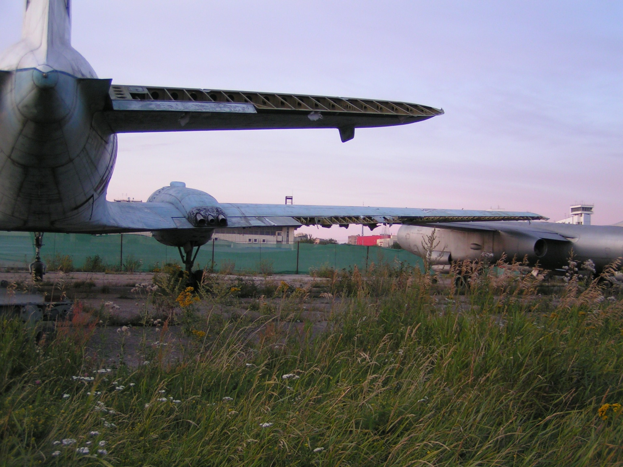 Ил-14 (Ходынка) — уничтожен. Фотоальбом показывающий увлекательный мир авиации и мир медведей Андрея Иванова