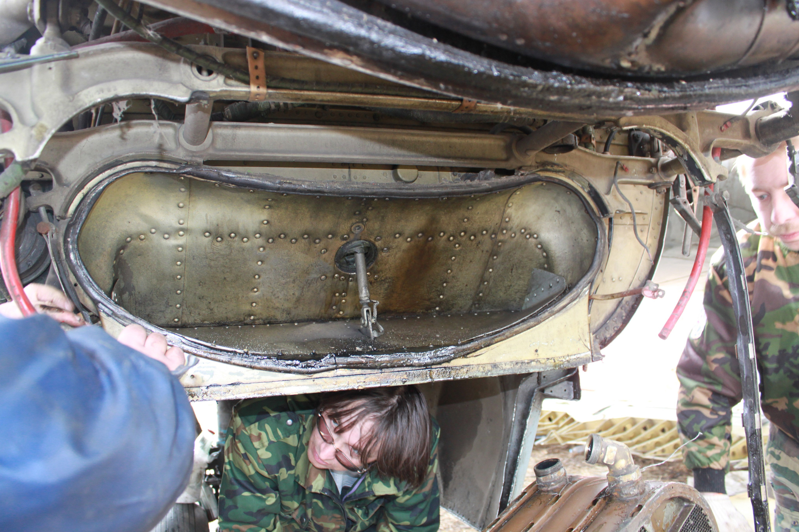 Ил-14Т «Голубая Мечта» работы в Тушино (2011 г.). Фотоальбом показывающий увлекательный мир авиации и мир медведей Андрея Иванова