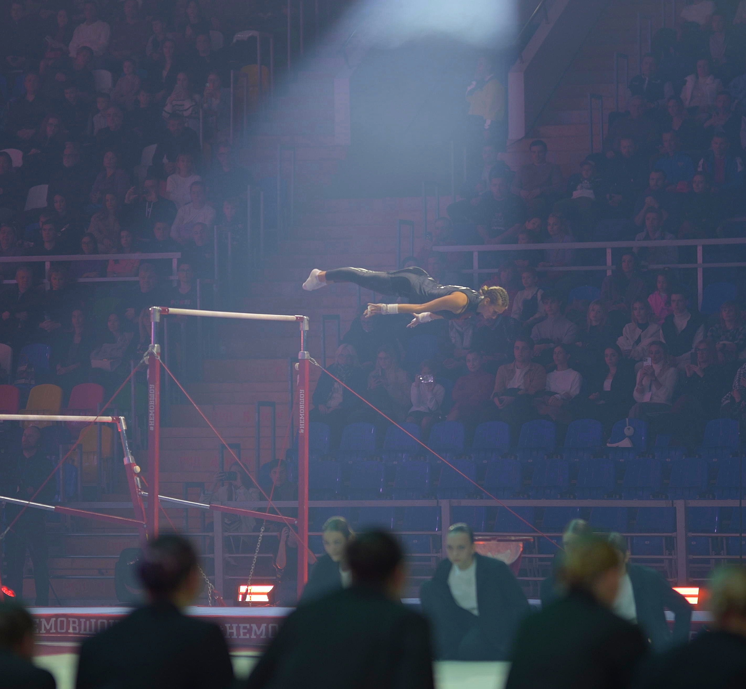 Шоу Алексея Немова 2024. Фотограф Ваших событий 📸