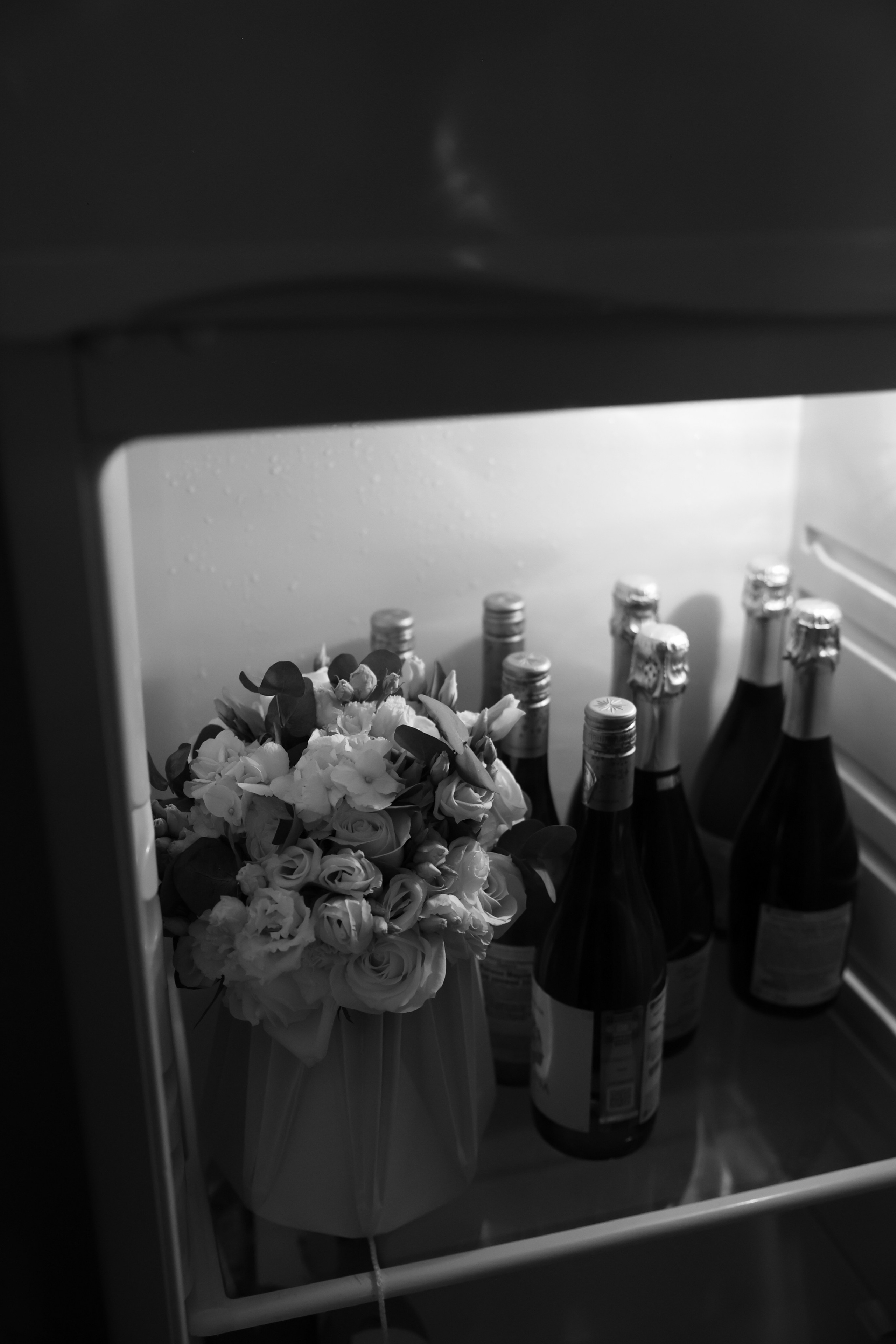 Lesnoi-bereg. Главная