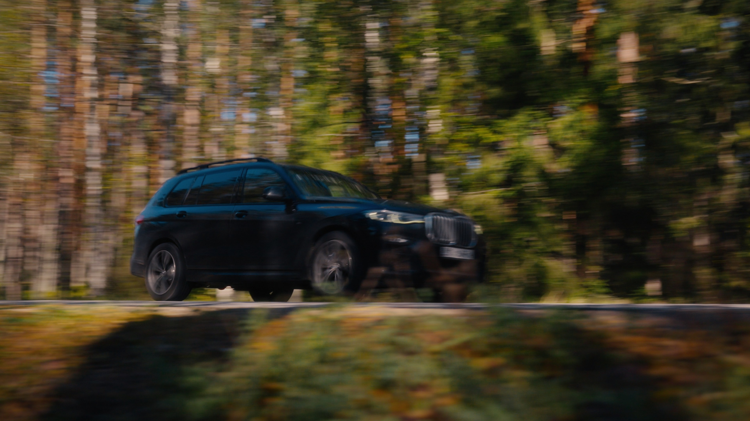 Тихолесье — Ваш дом и уют (promo). Цветокоррекция видео онлайн Иван Сержанов