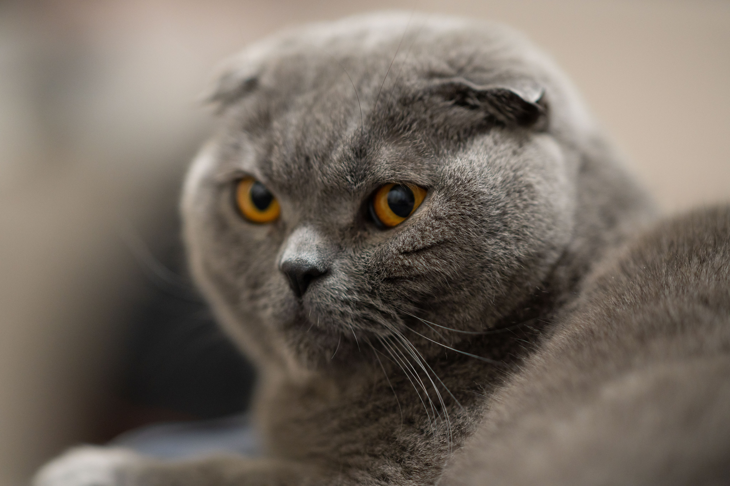 Кефир. Photography&Video