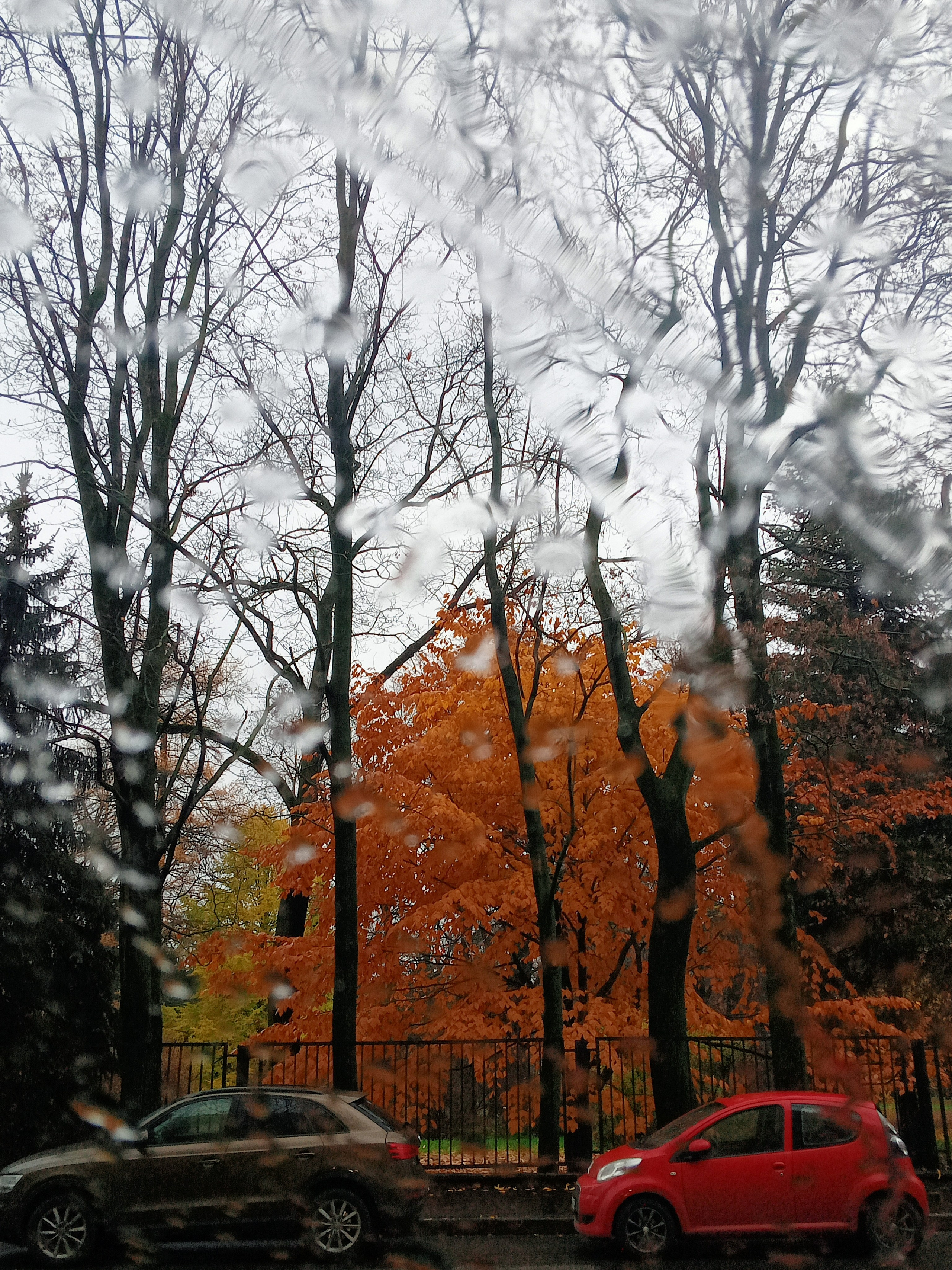 Пазлы. Фотохудожник Татьяна Бойцова