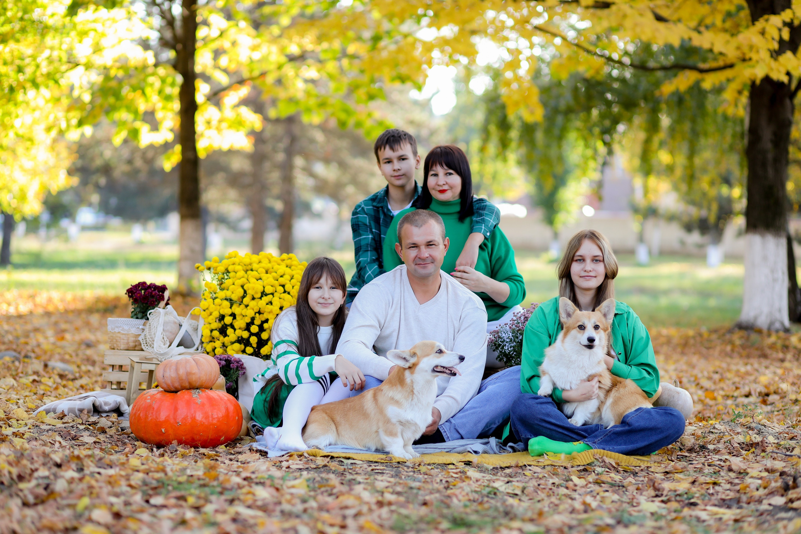 Отзывы. Alexsaphoto.ru