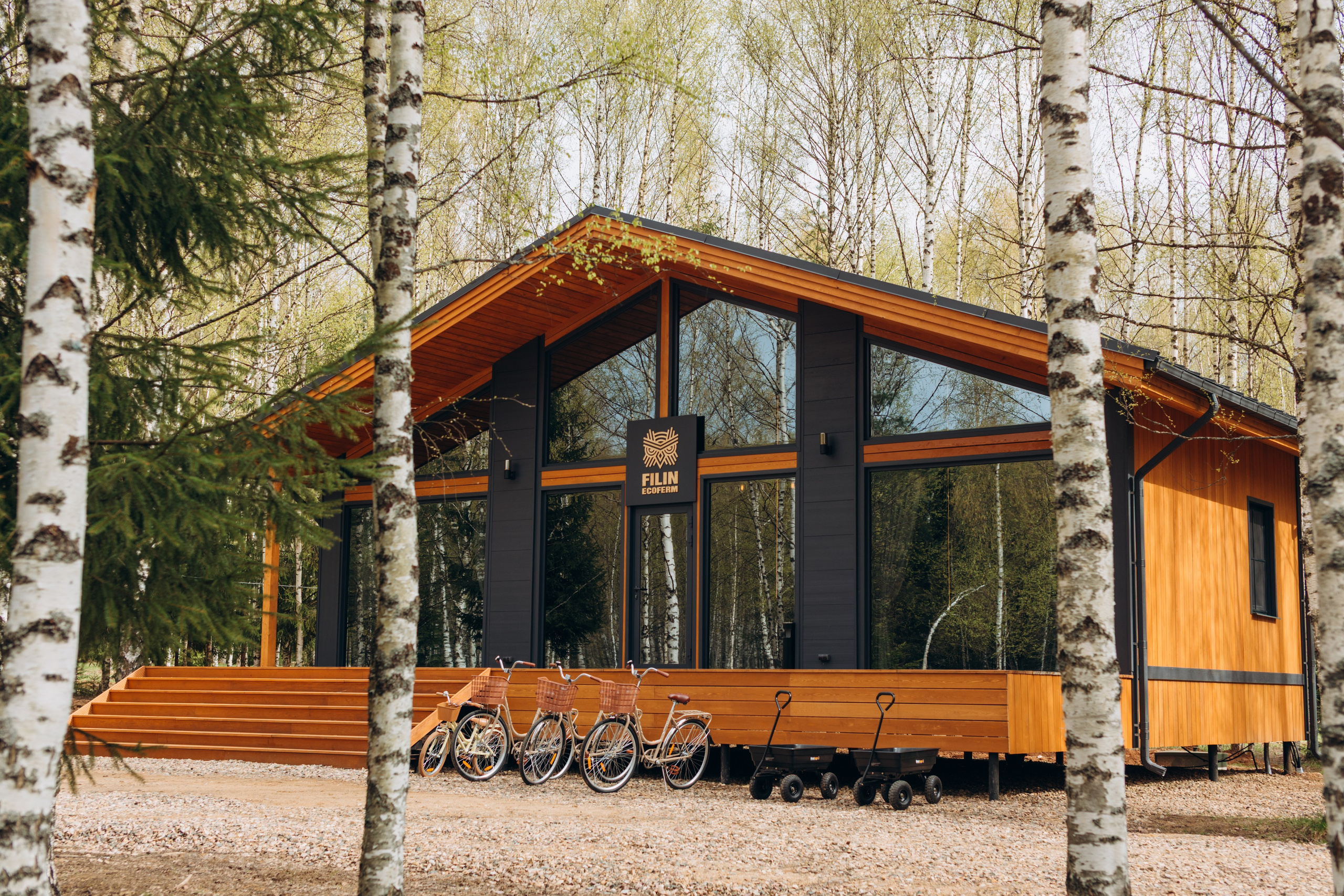 Filin. Главная