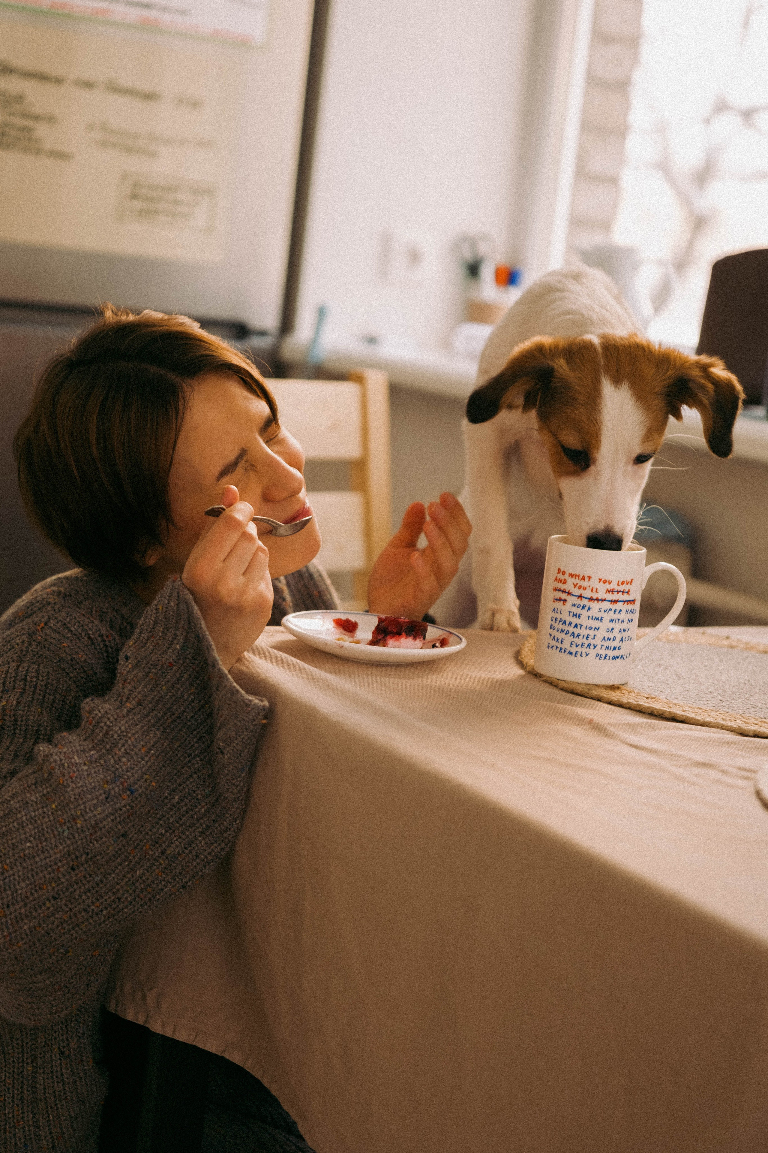 Лика и Клео. Свадебный фотограф Оля Григунова