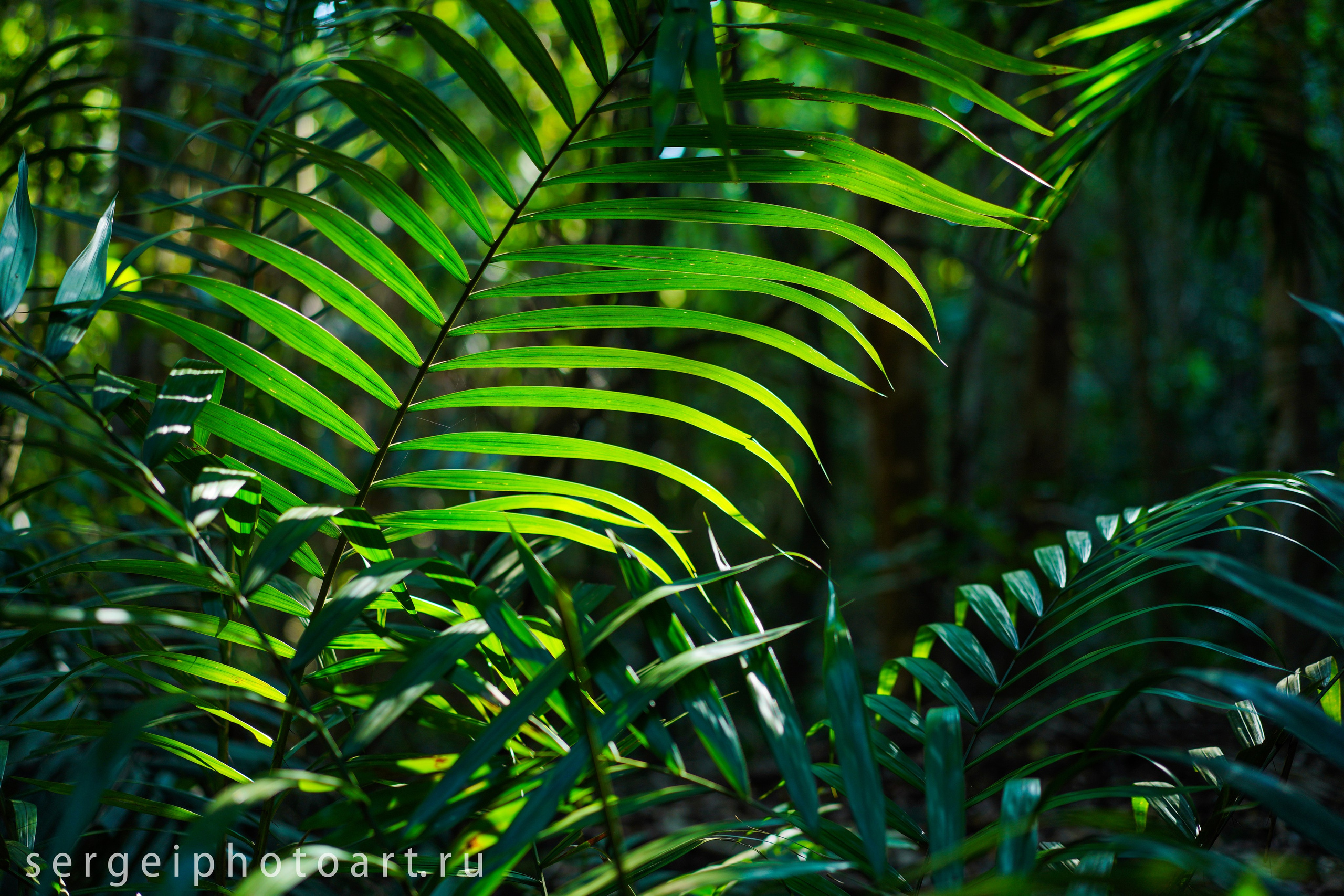 Остров Фукуок, Вьетнам. Фотограф Сергей Кишкель Дананг Нячанг Фукуок