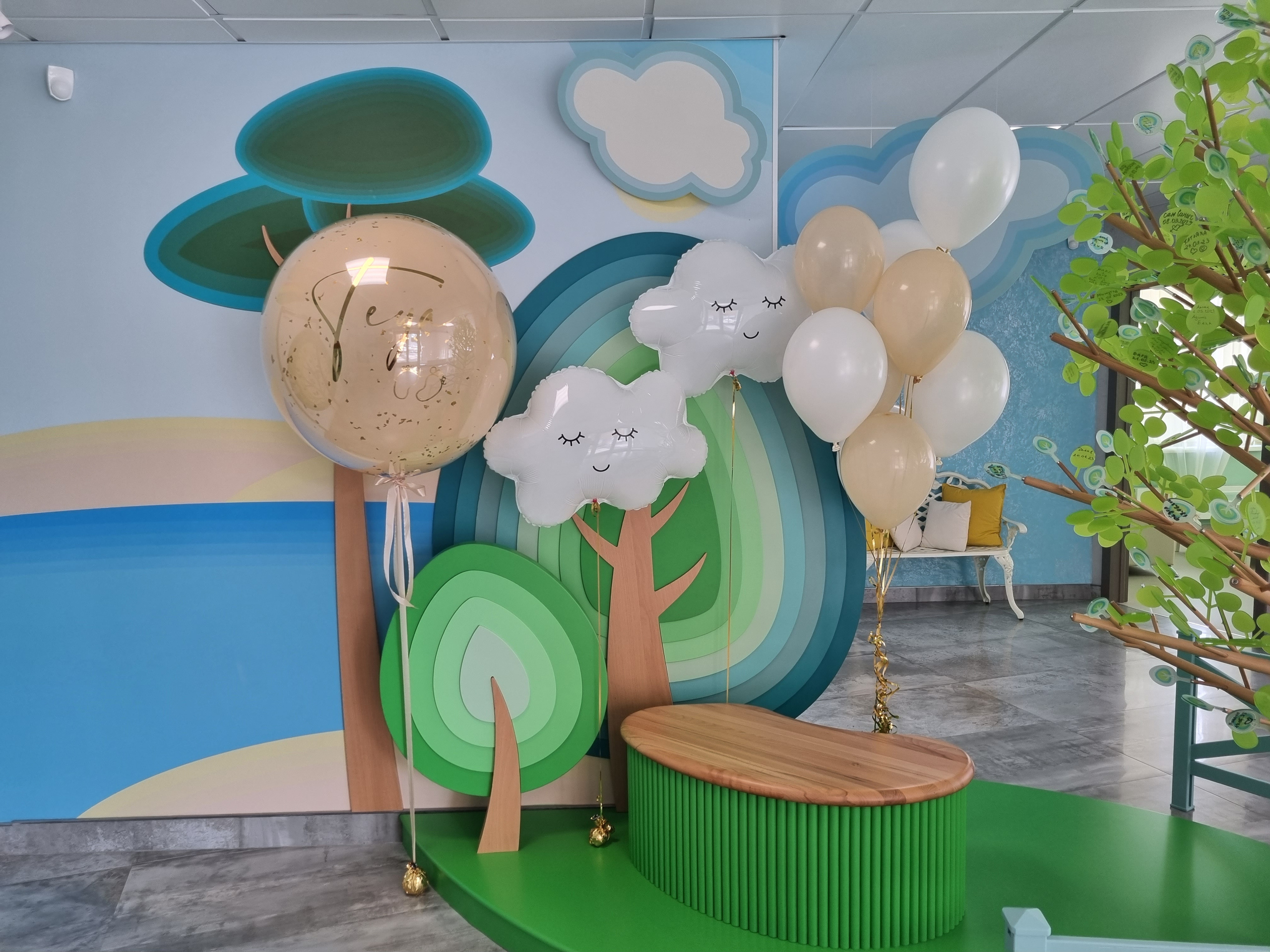 Фотограф в роддоме Сестрорецком г. Санкт-Петербург Банасиковская Ксения