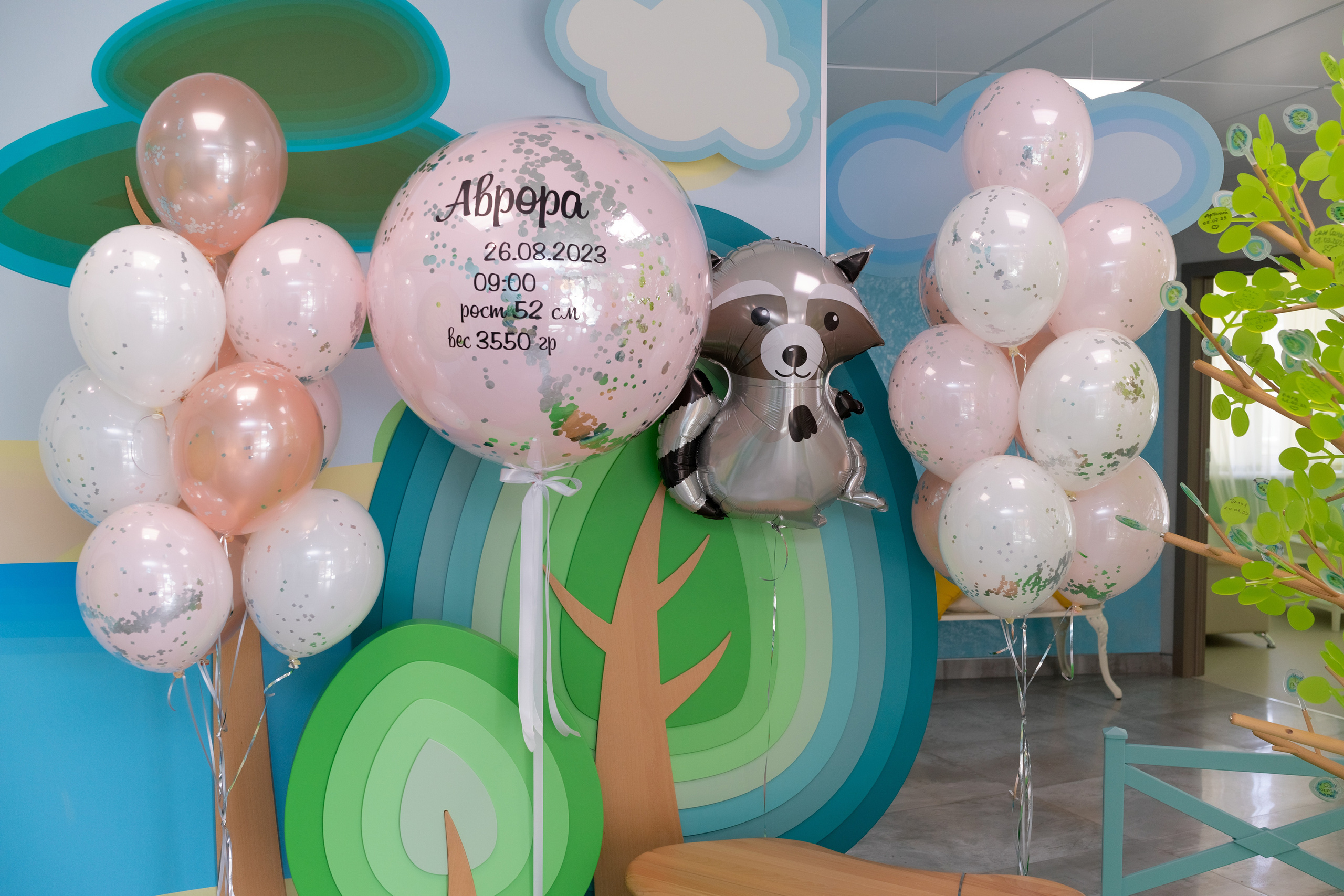 Фотограф в роддоме Сестрорецком г. Санкт-Петербург Банасиковская Ксения