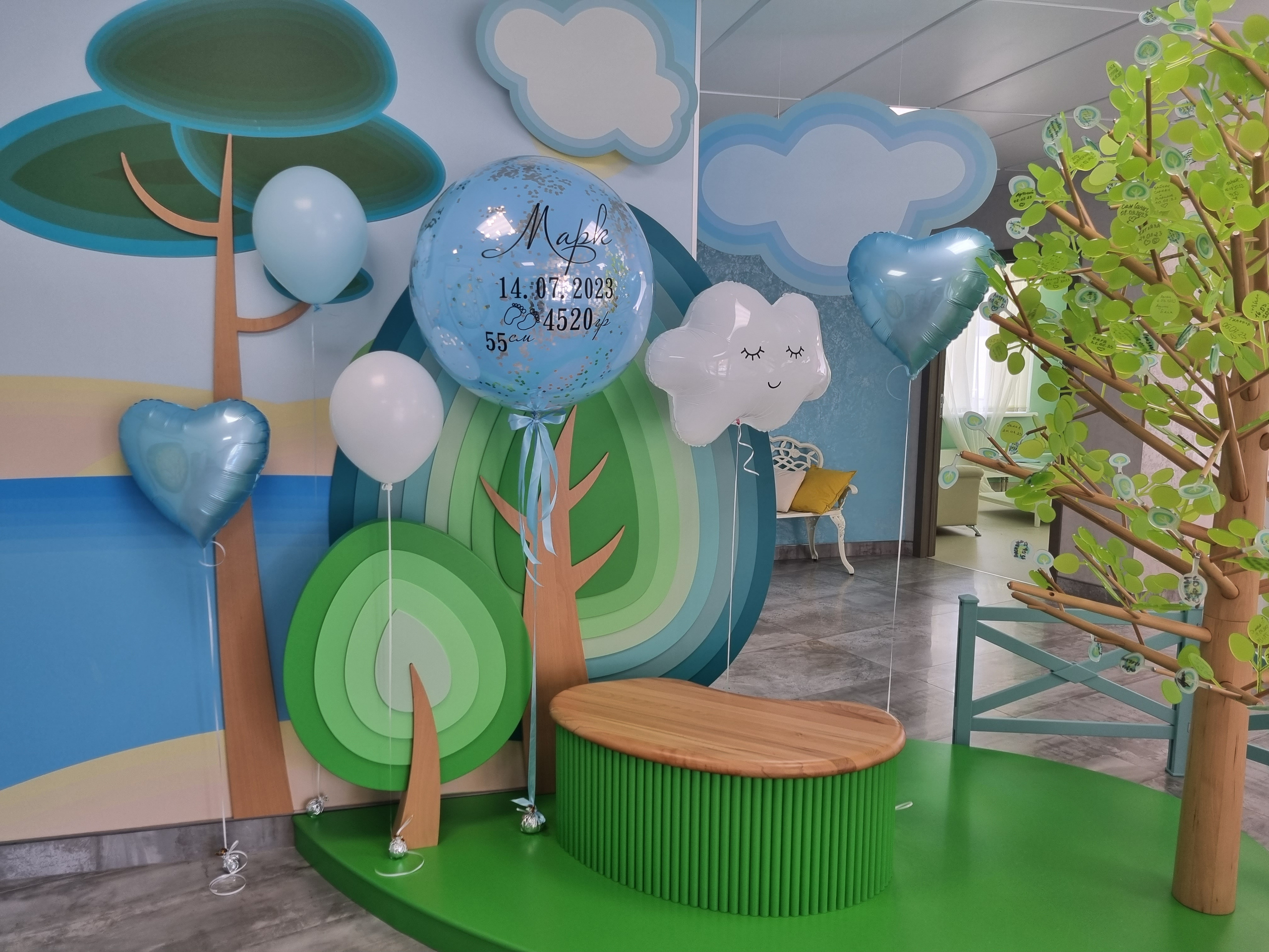 Фотограф в роддоме Сестрорецком г. Санкт-Петербург Банасиковская Ксения