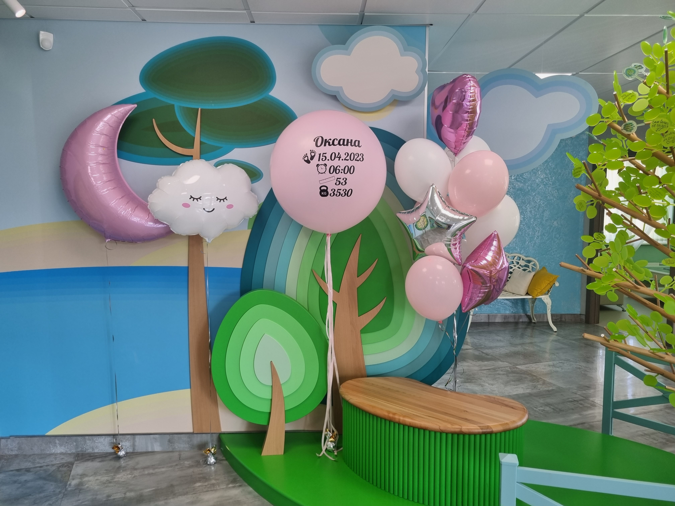 Фотограф в роддоме Сестрорецком г. Санкт-Петербург Банасиковская Ксения