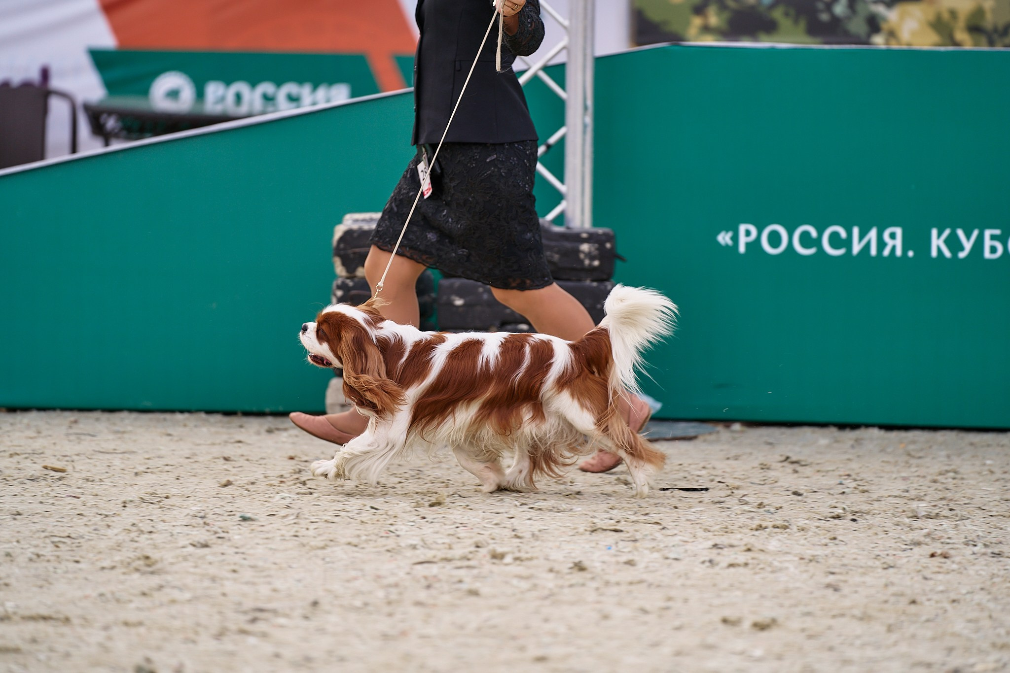 09.06.2024, «РОССИЯ. КУБОК МОСКВЫ 2024 & КУБОК ГОРОДОВ-ГЕРОЕВ»