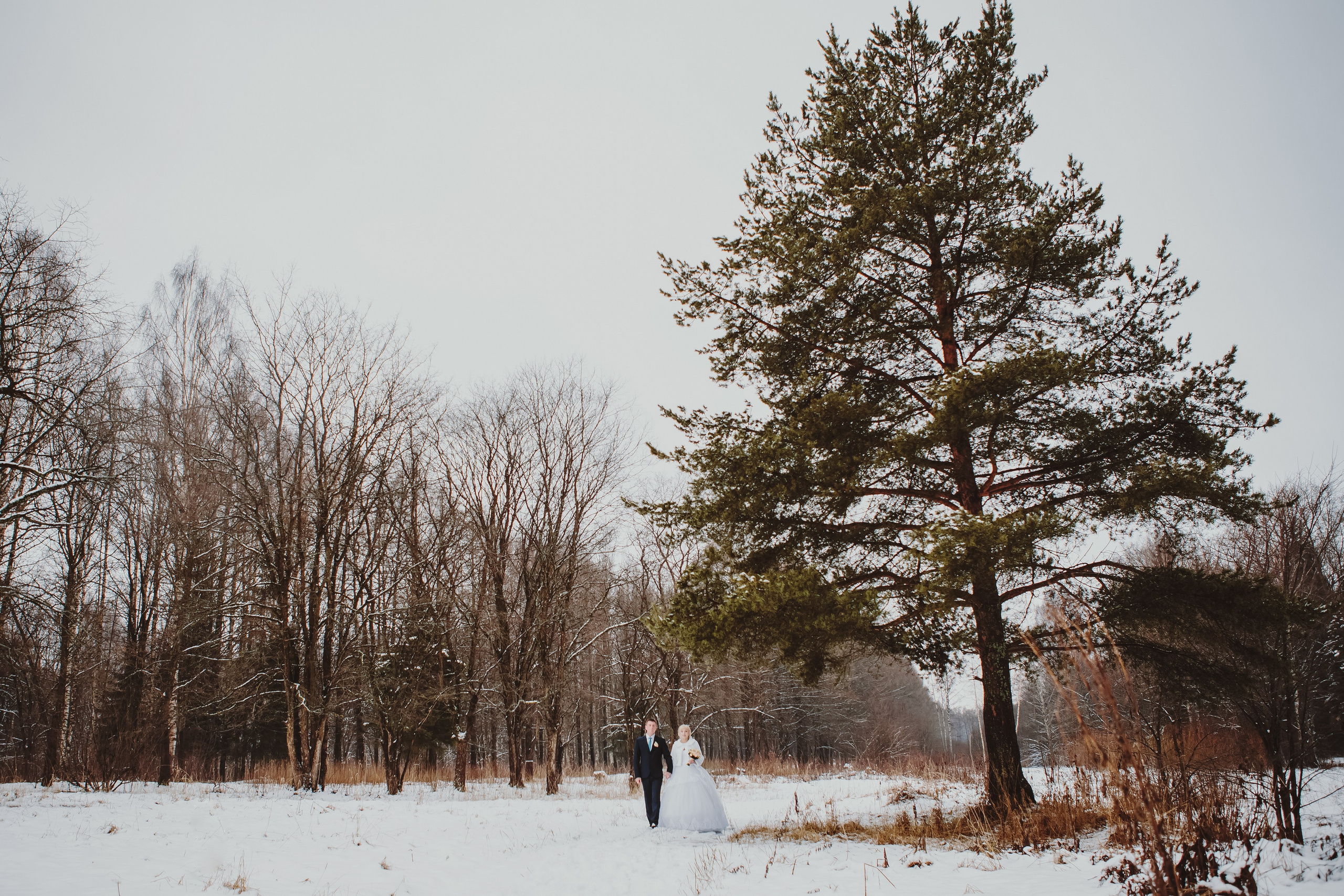 Свадебные моменты 2010-2022. Фотограф Светлана Петрова