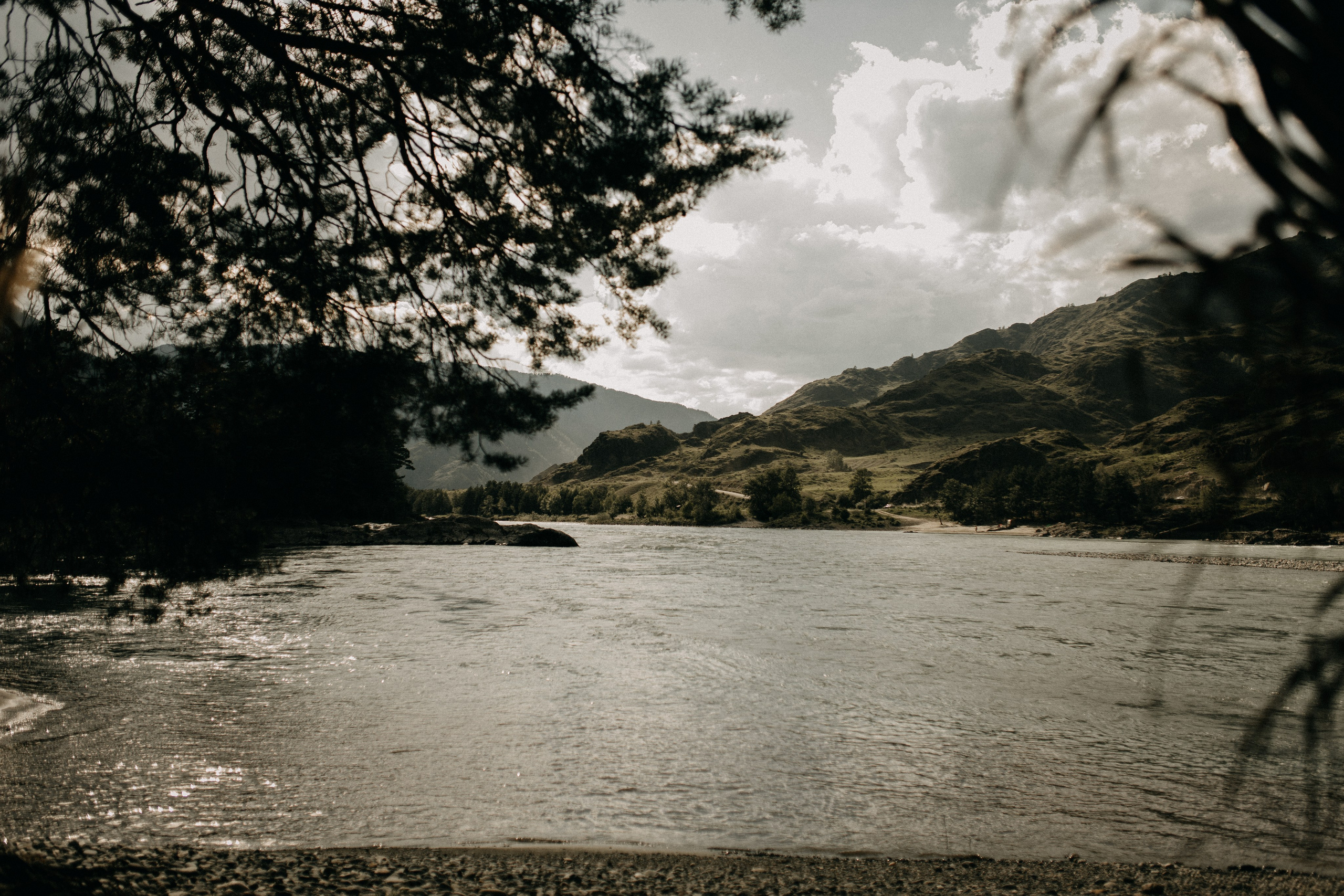 Илья и Оксана (Алтай). Свадебный и портретный фотограф в Калининграде и Москве Марк Юдинцев