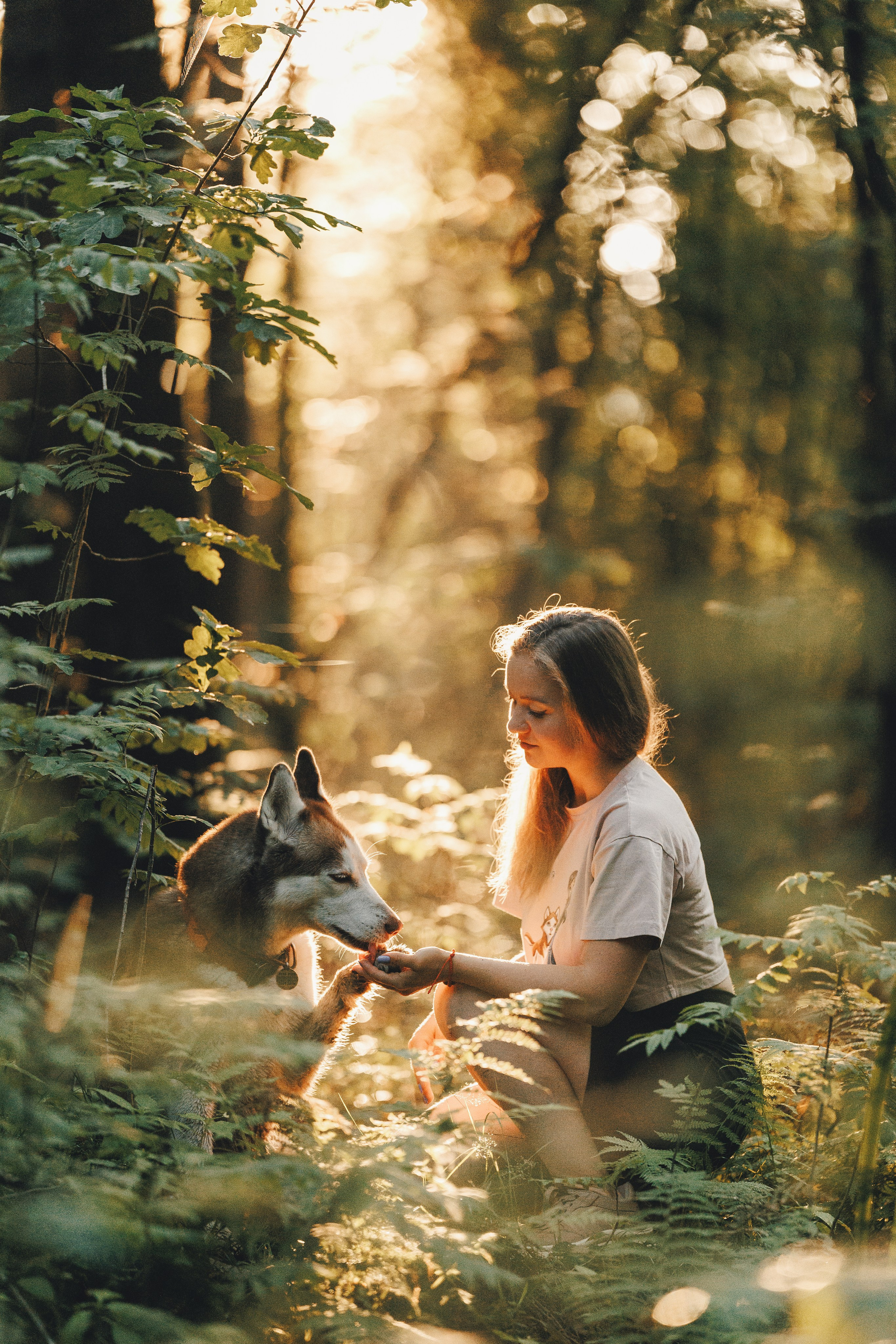 Собаки и их люди. Фотограф- анималист Санкт-Петербург