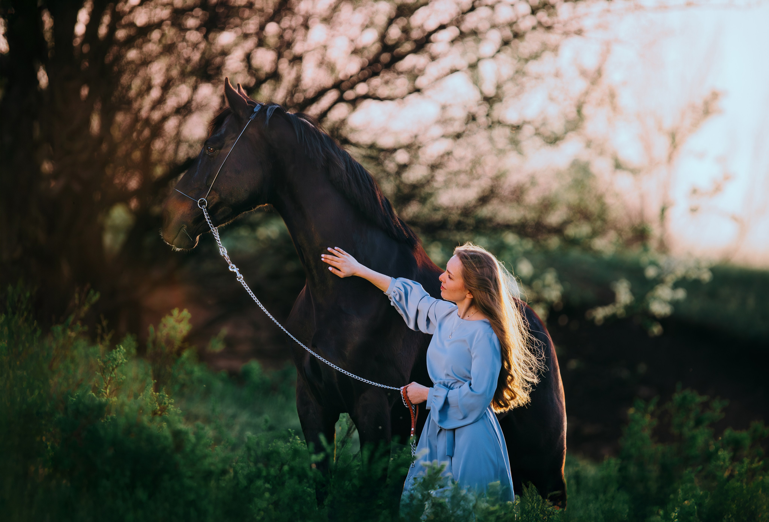 Вероника и Брэй. Фотограф-анималист Ксендзова Кристина