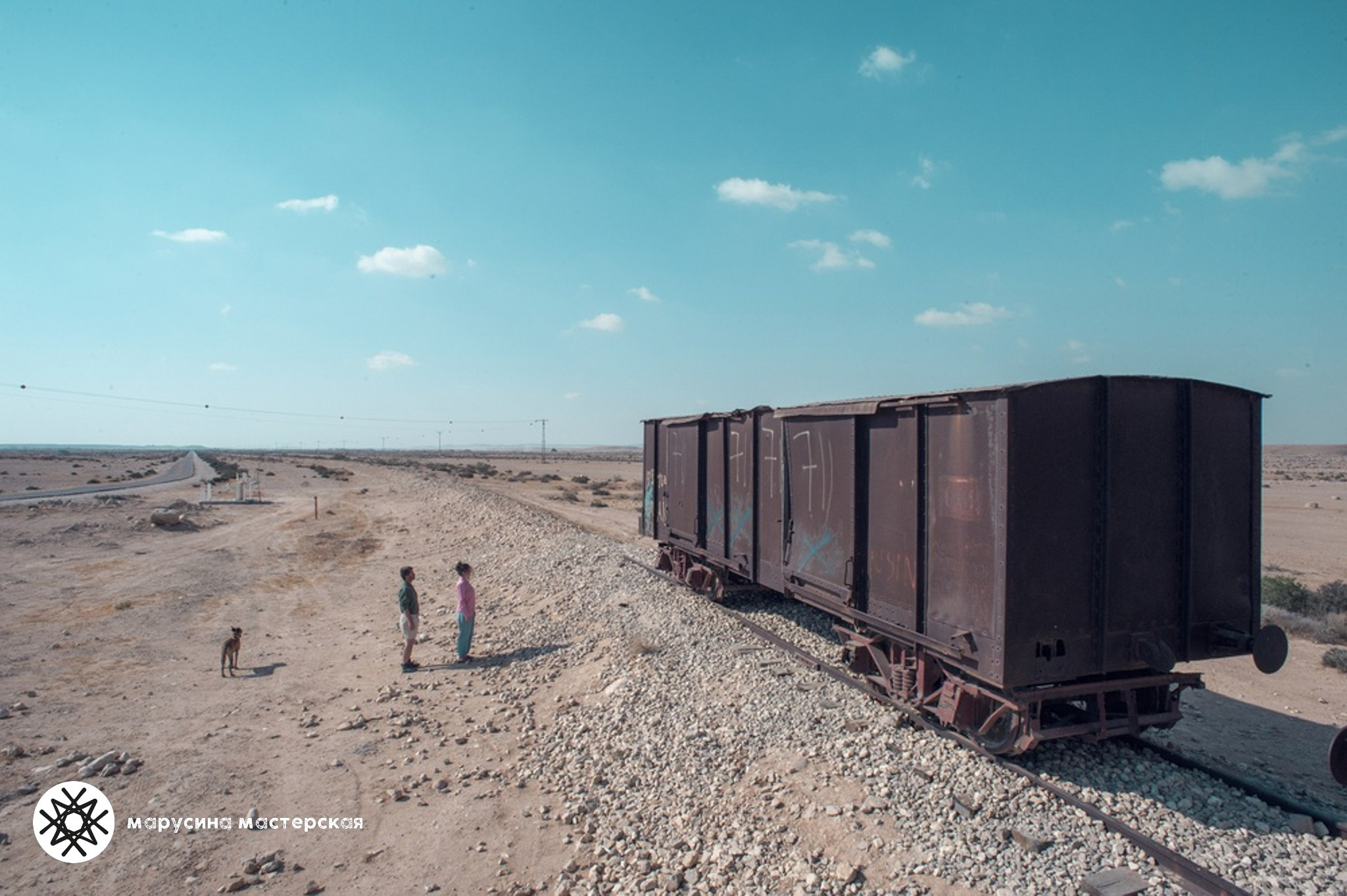 Анна Дудников