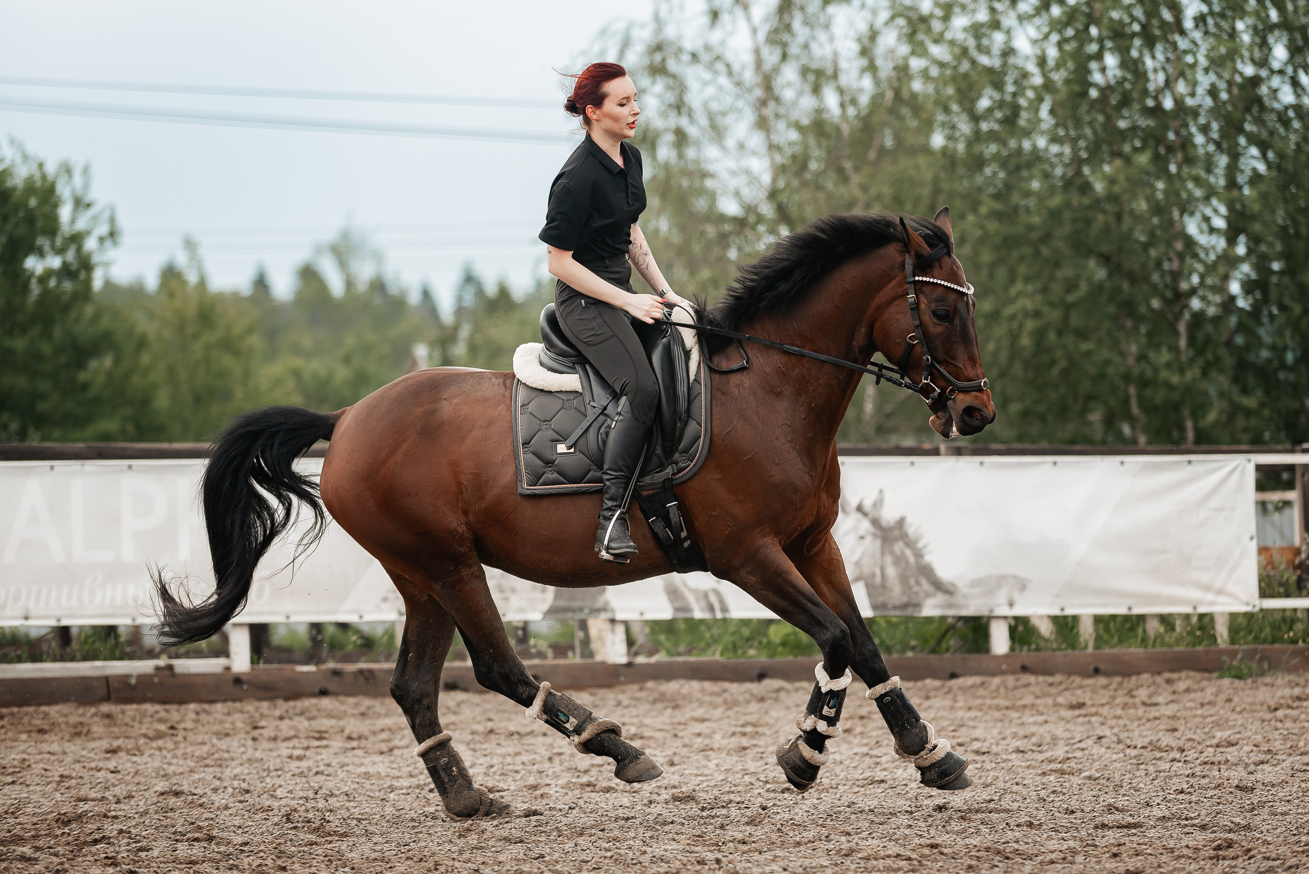 Ольга и Шерави. Куракина Дарья • Конный фотограф