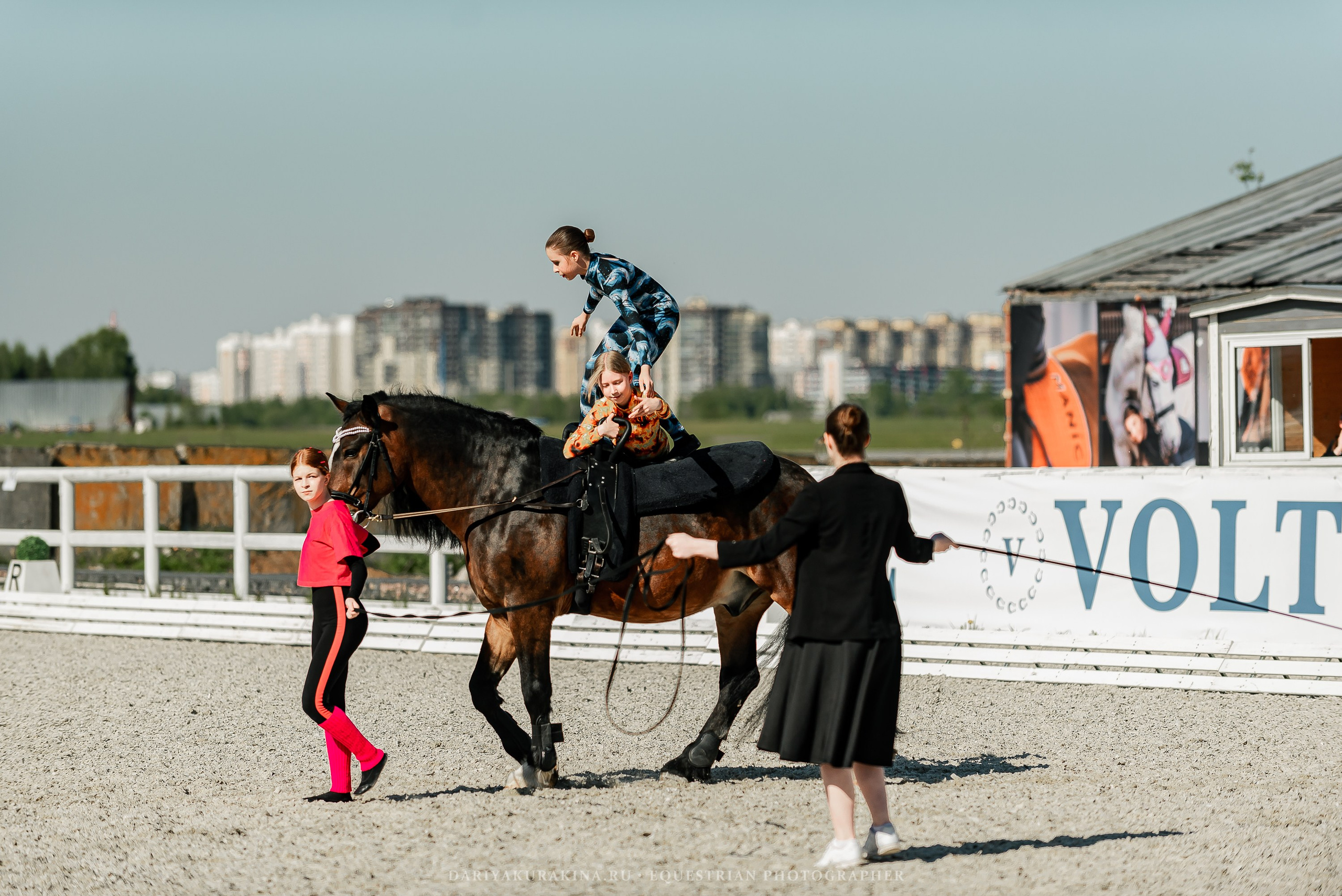 РЕПОРТАЖ МКК ВОЛЬТ «LA TULIPS». Конный фотограф Куракина Дарья • Фотосессии с лошадьми