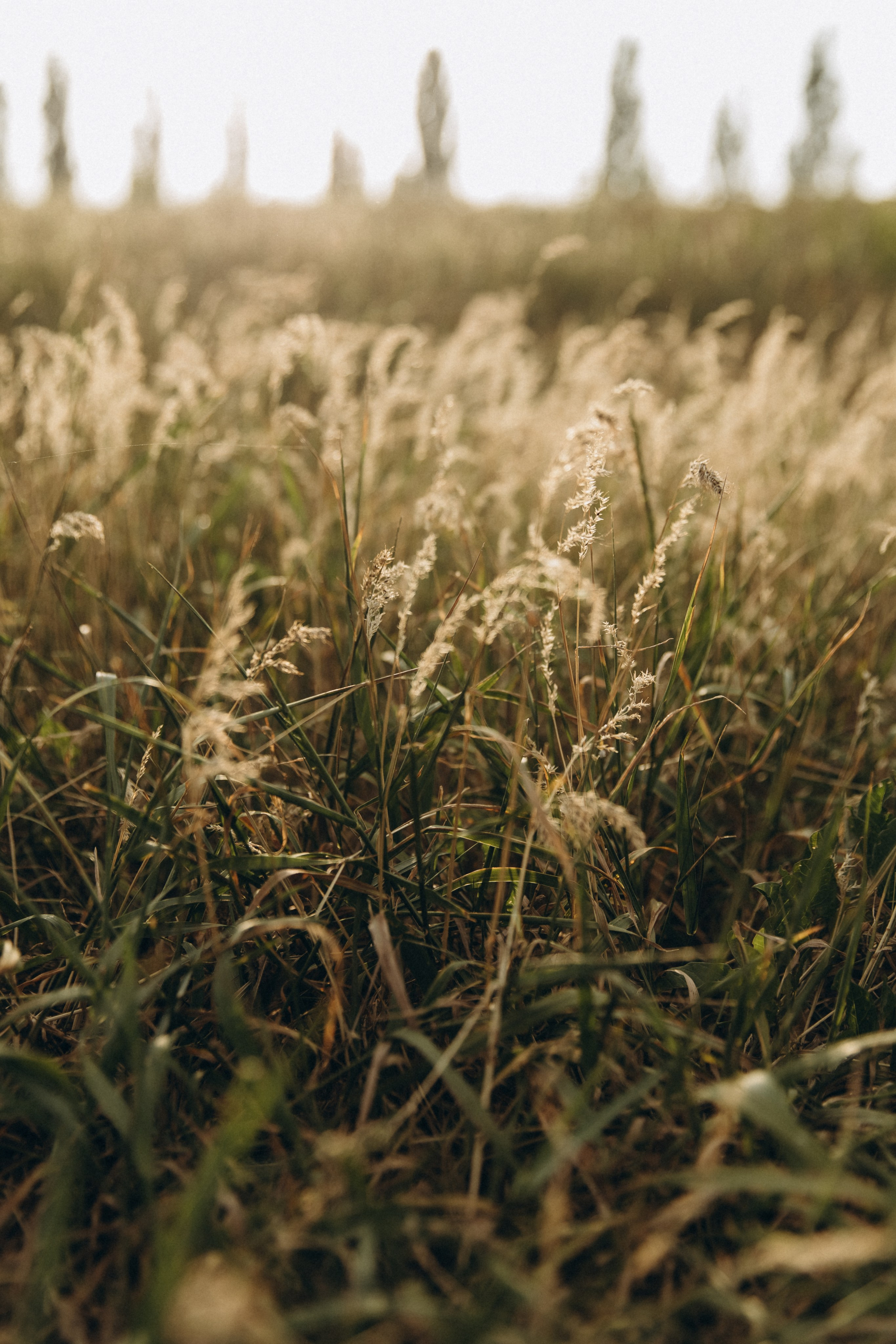 Семья Большаковых. Главная