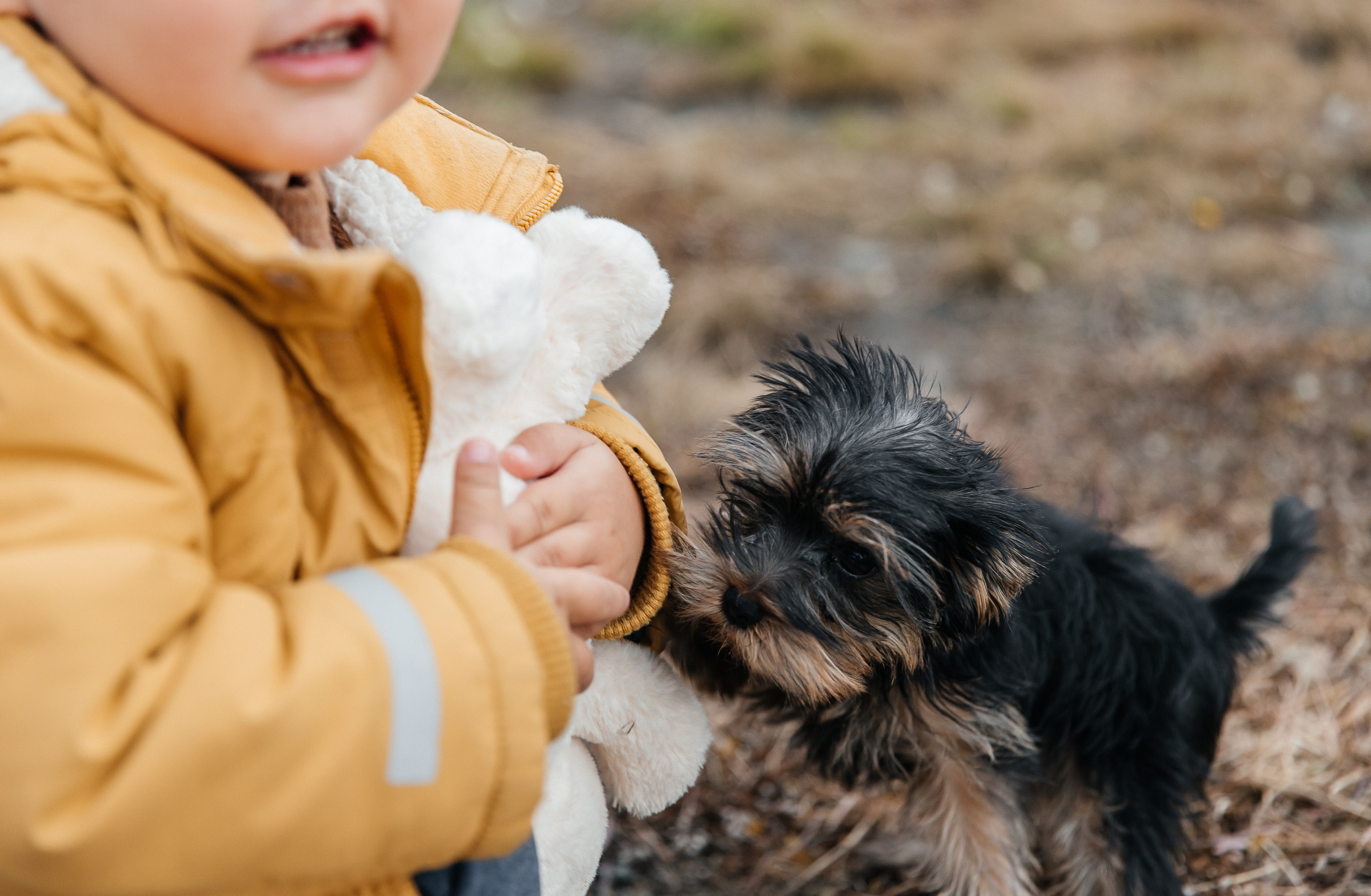 Вера и Артем. Воронистая Анастасия. Фотограф Якутия, Томпонский район