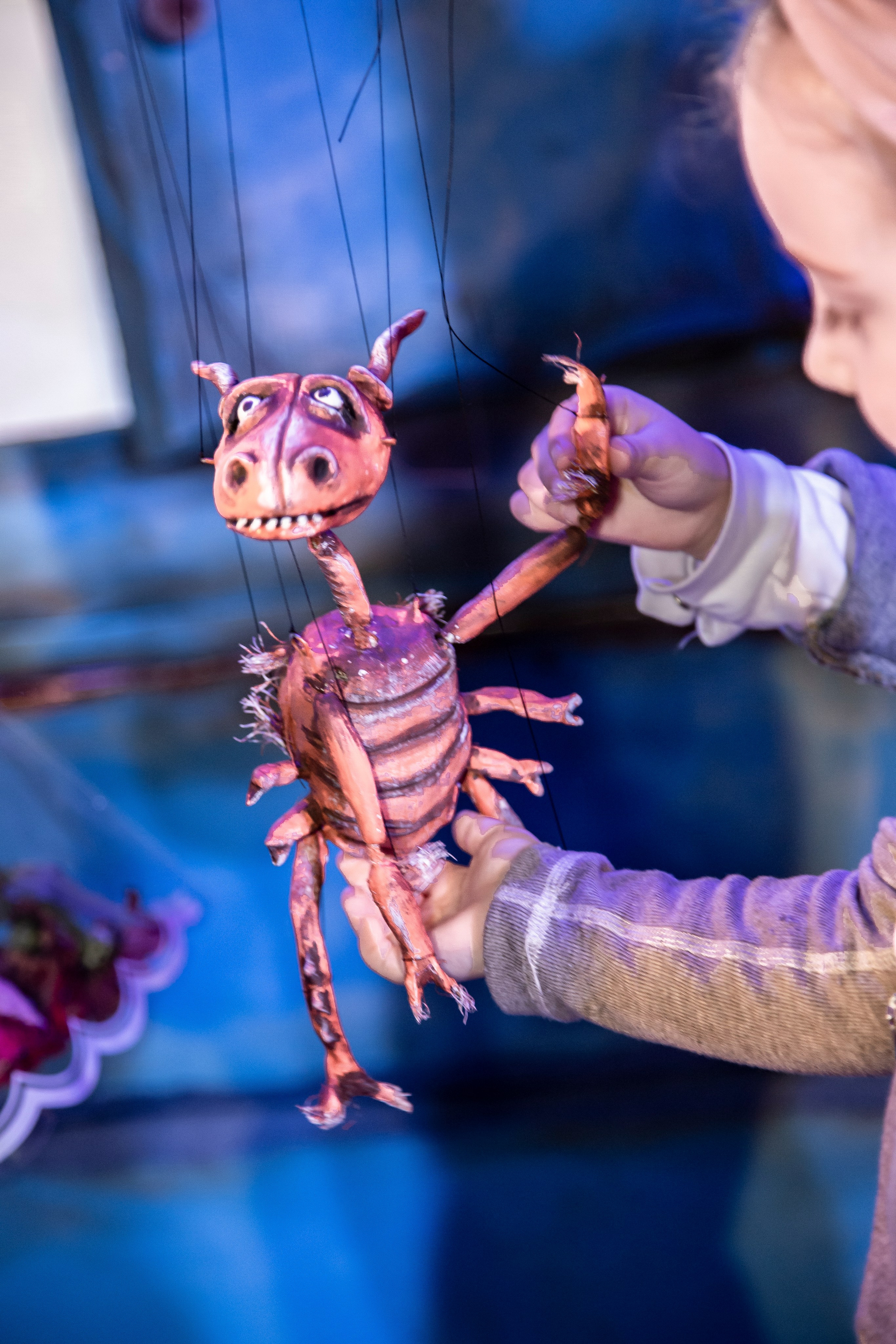 Тараканище спектакль кукольного театра Саквояж — премьера. Фотограф в Сочи Юрий Шептаев