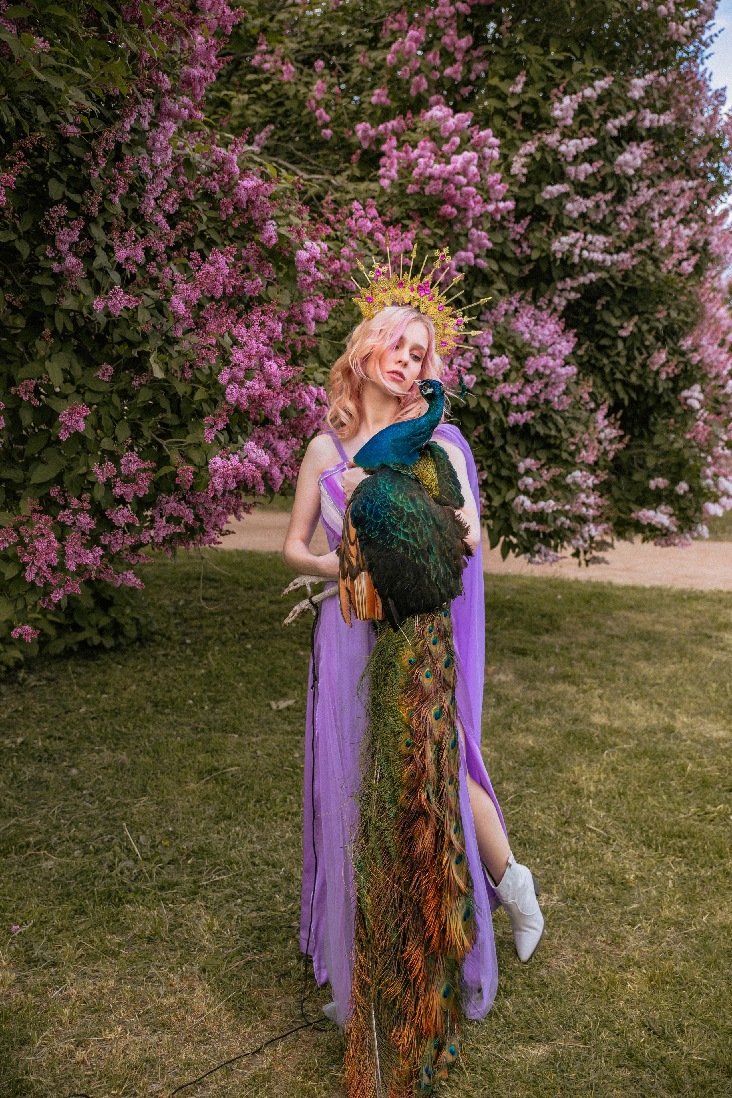 Павлин. Elena Sova — семейный и женский фотограф в Санкт-Петербурге