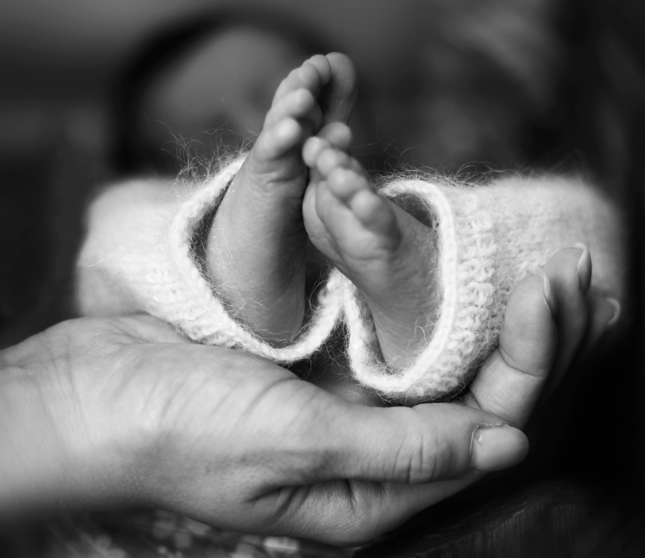 ЯН. Фотограф в Туле Оксана Денисова