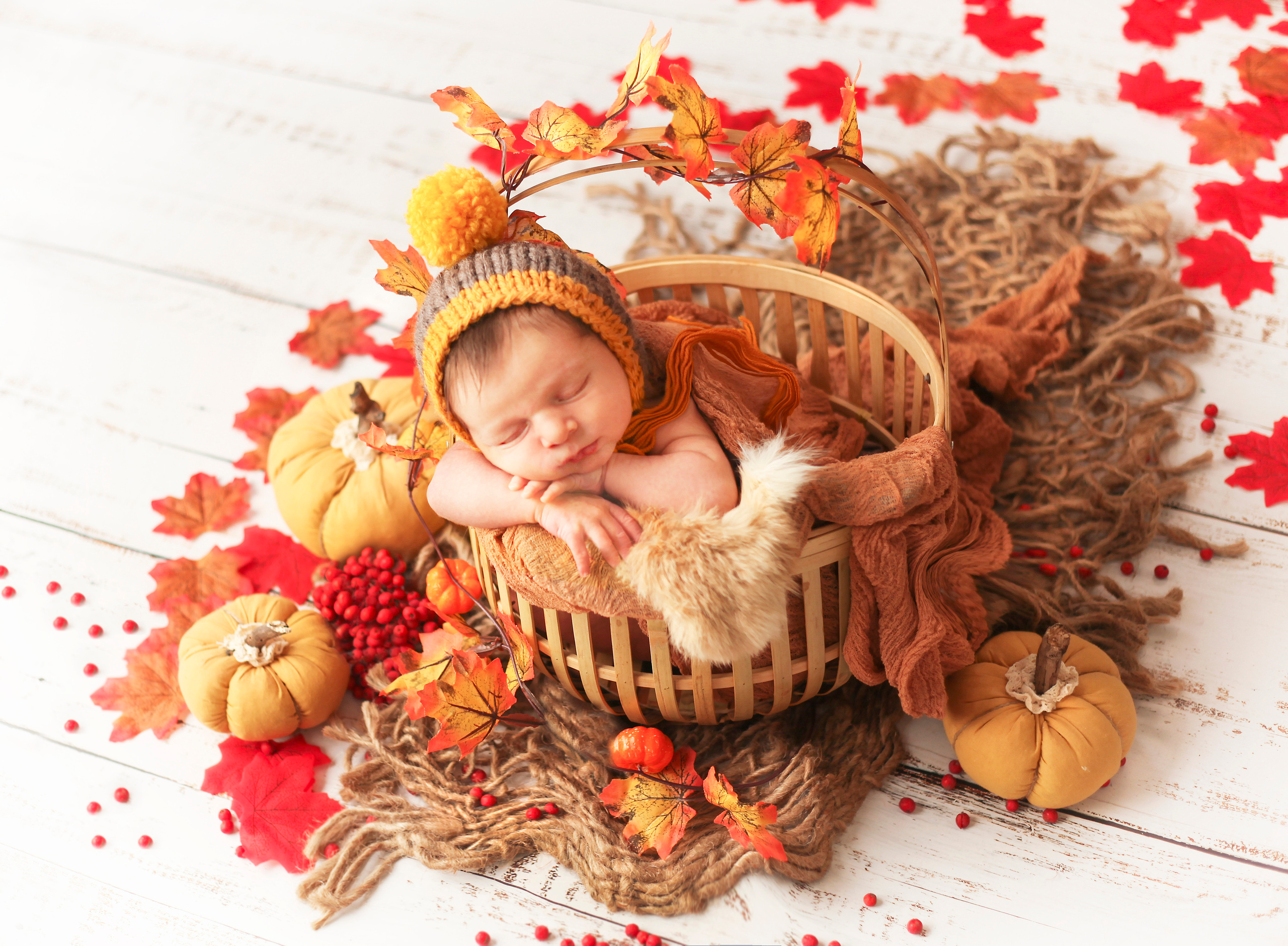 ЯН. Фотограф в Туле Оксана Денисова