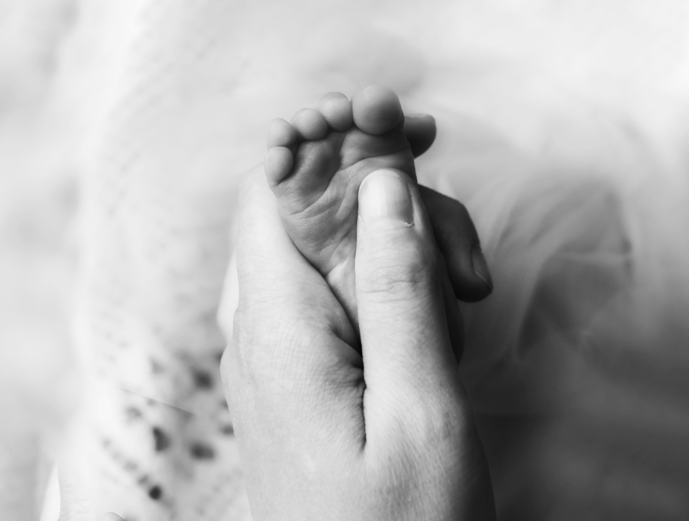 УЛЯ. Фотограф в Туле Оксана Денисова