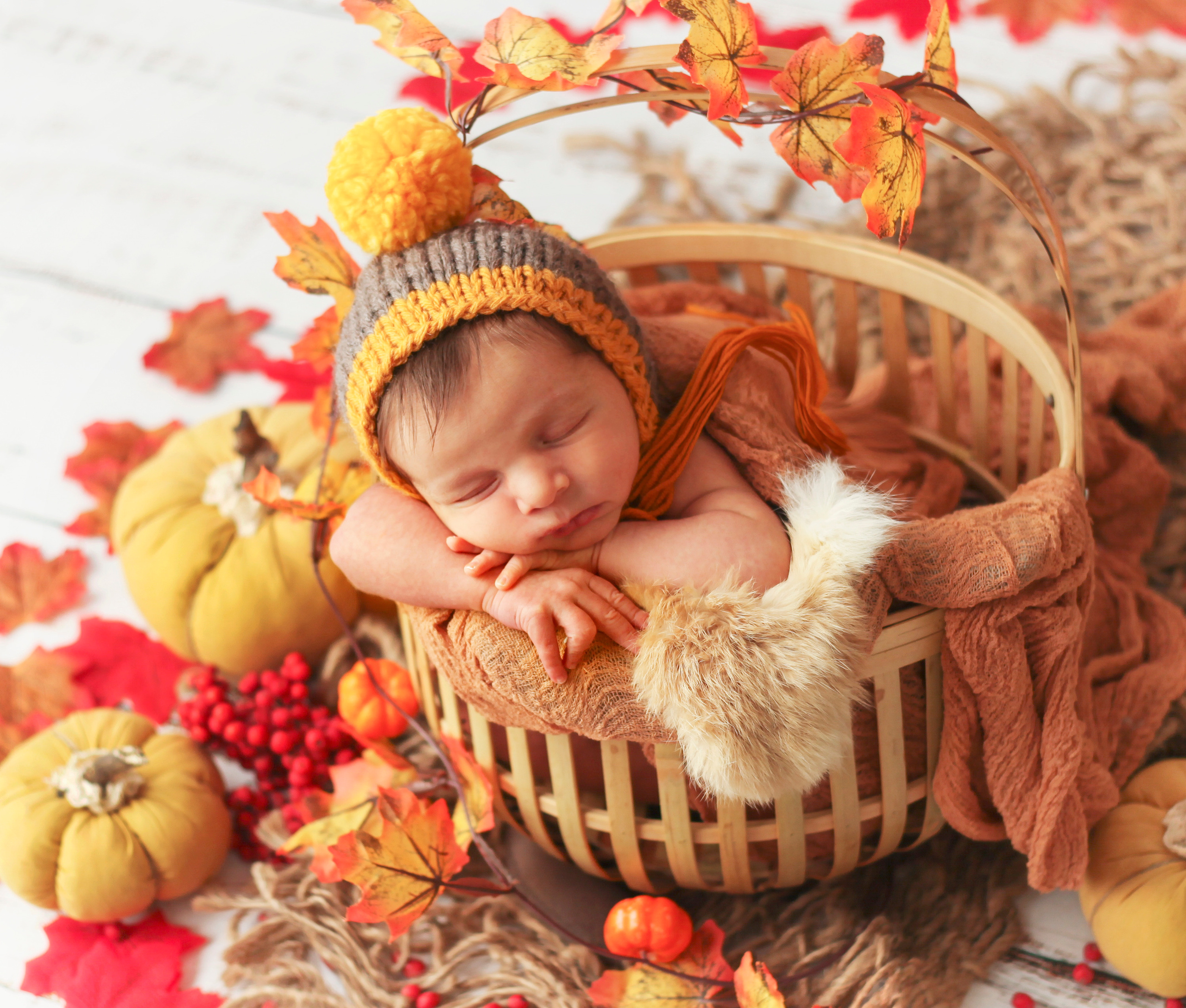 ЯН. Фотограф в Туле Оксана Денисова