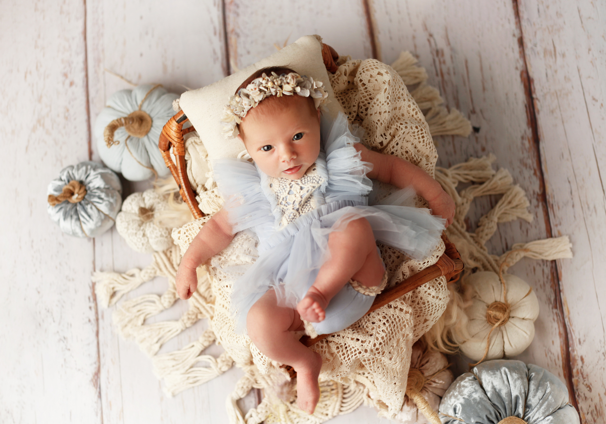 УЛЯ. Фотограф в Туле Оксана Денисова