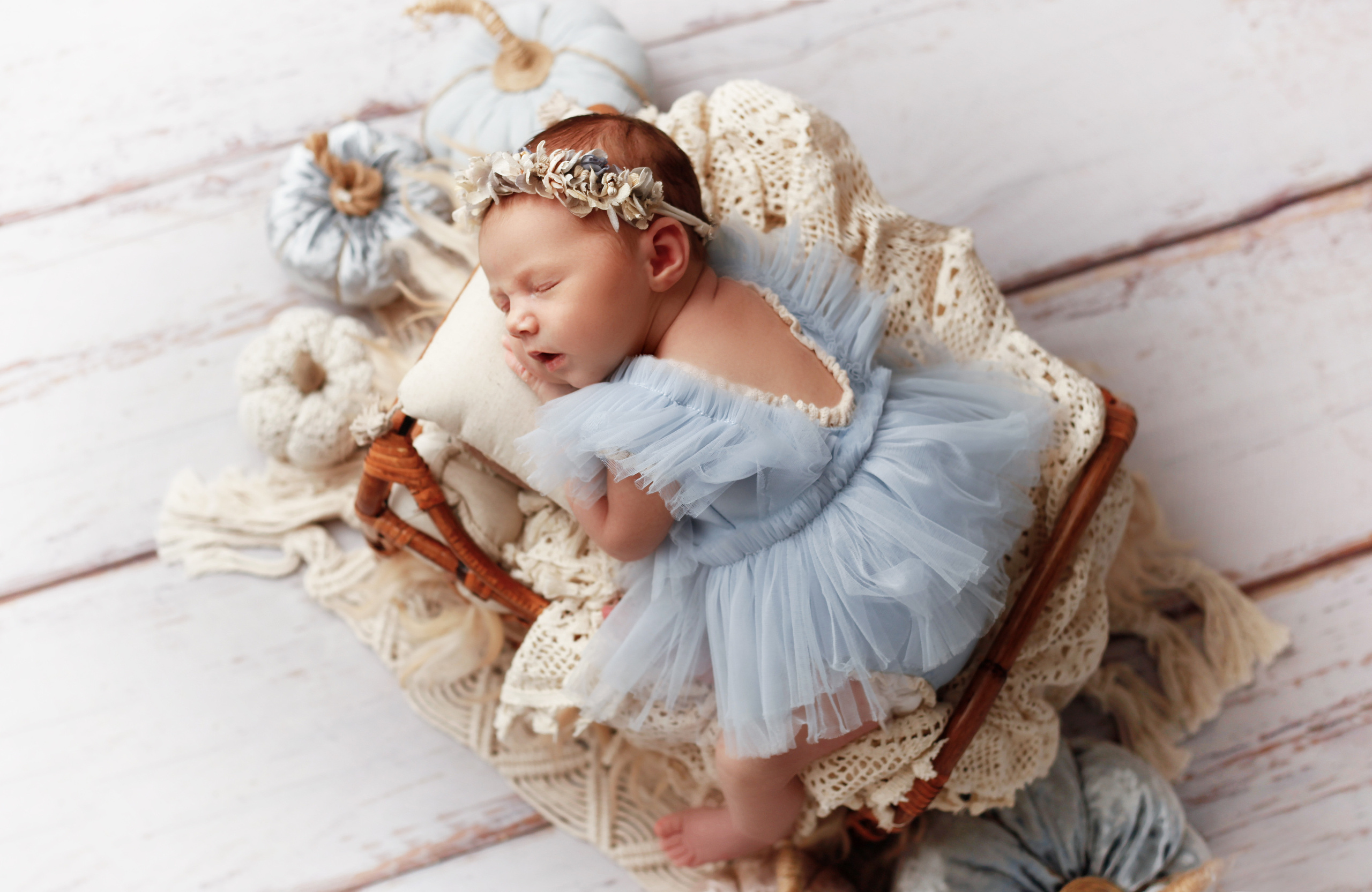 УЛЯ. Фотограф в Туле Оксана Денисова