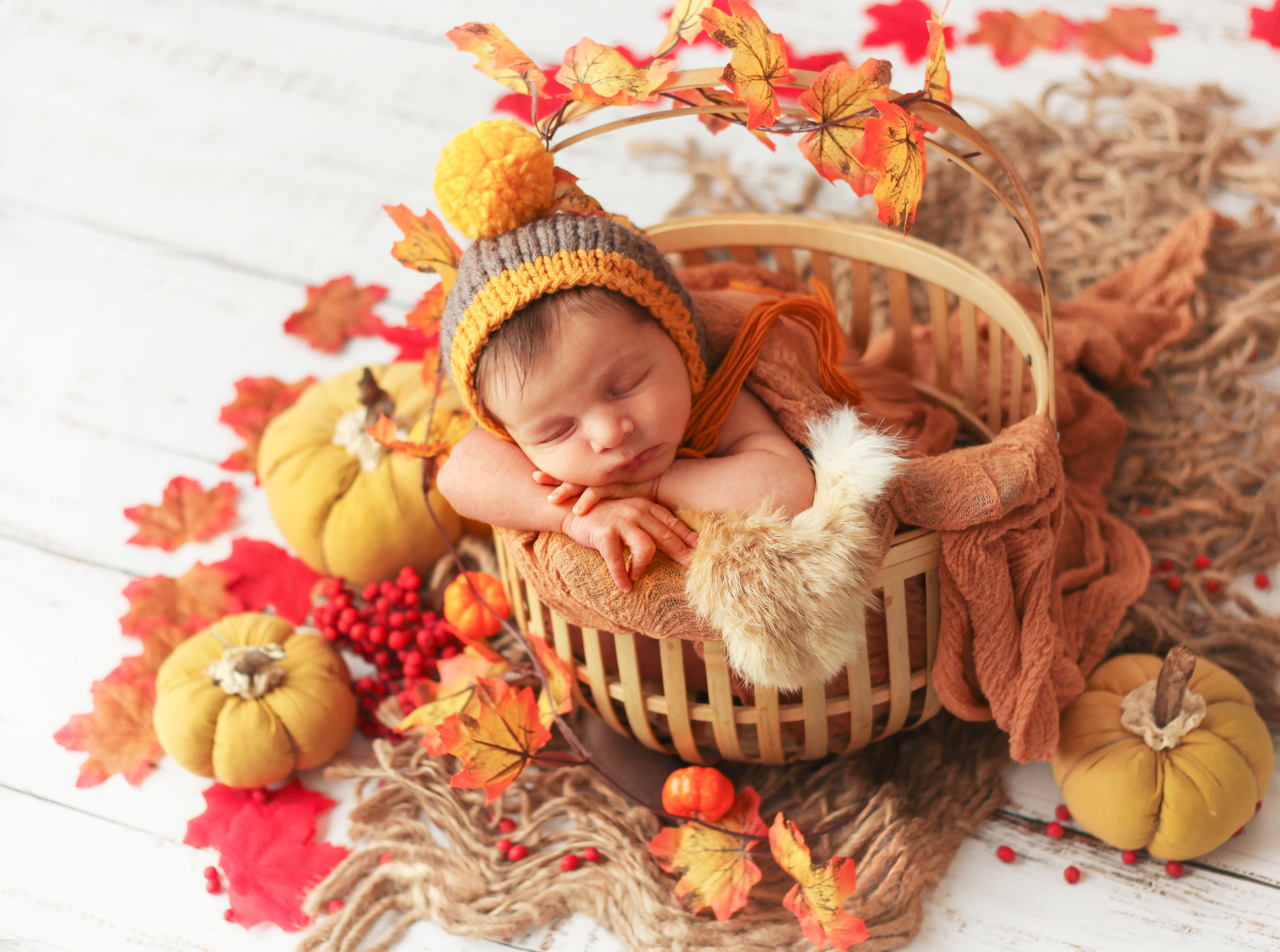 ЯН. Фотограф в Туле Оксана Денисова