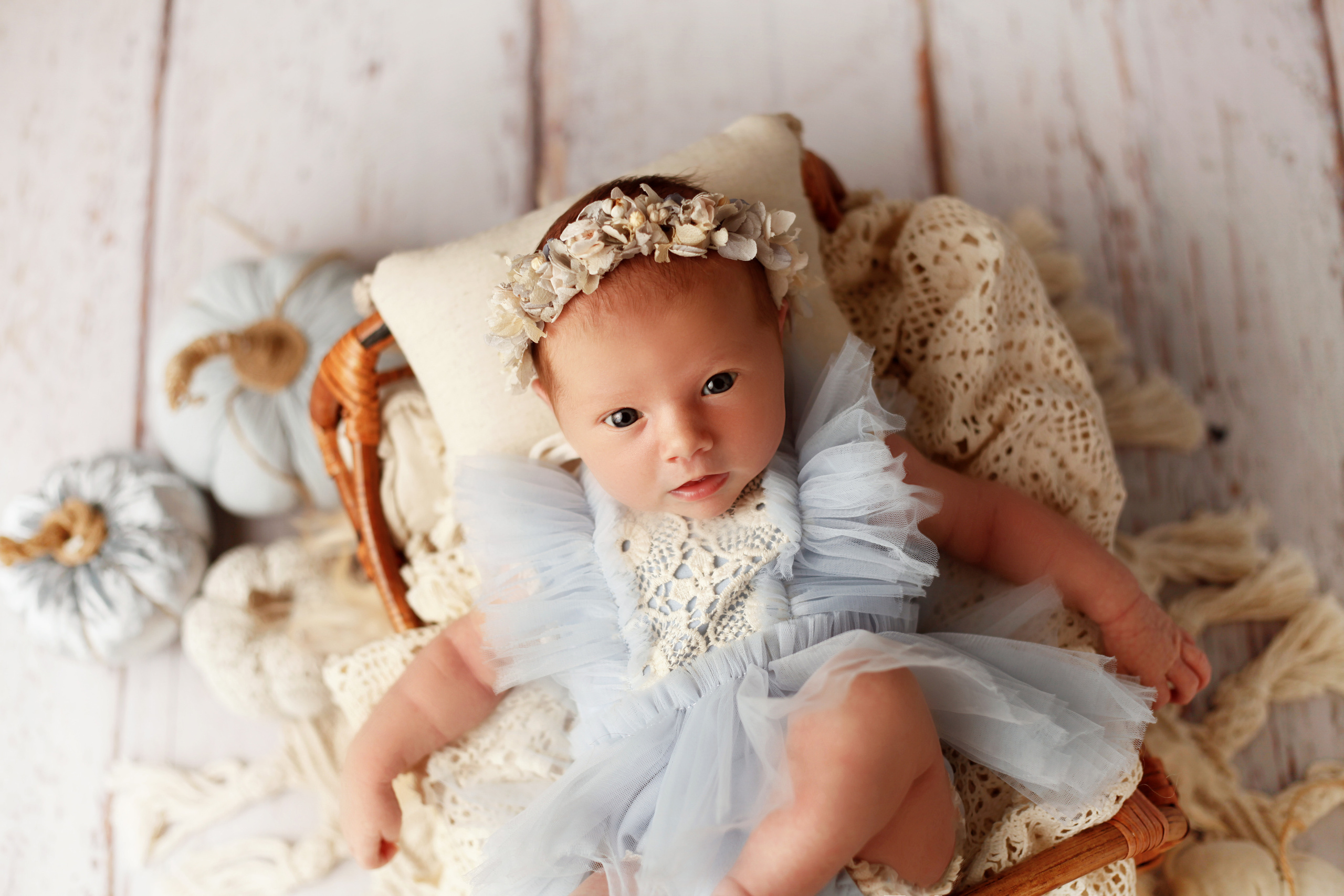 УЛЯ. Фотограф в Туле Оксана Денисова