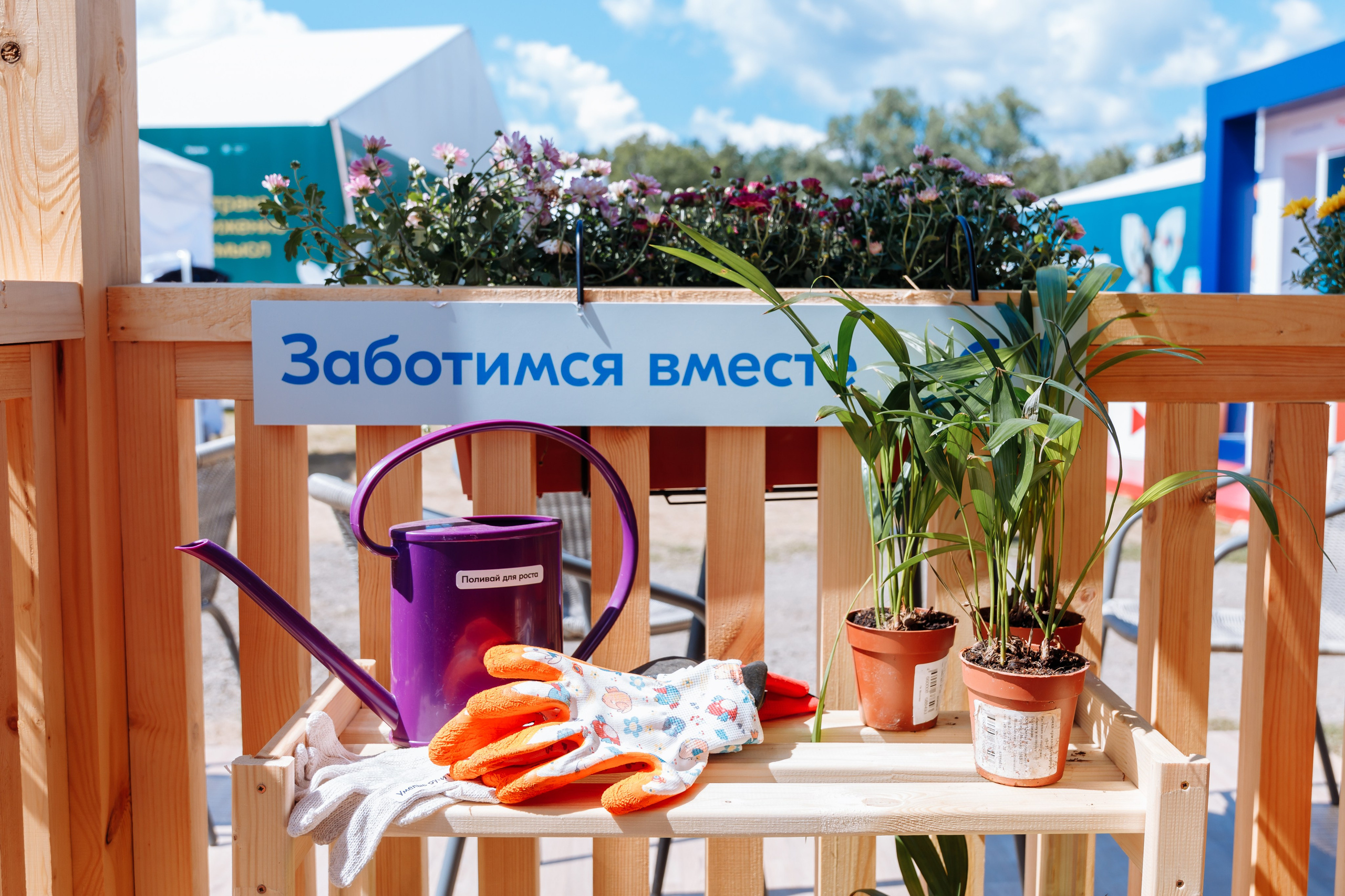 Региональные/ всероссийские мероприятия. Фотограф Виктория Старосельская