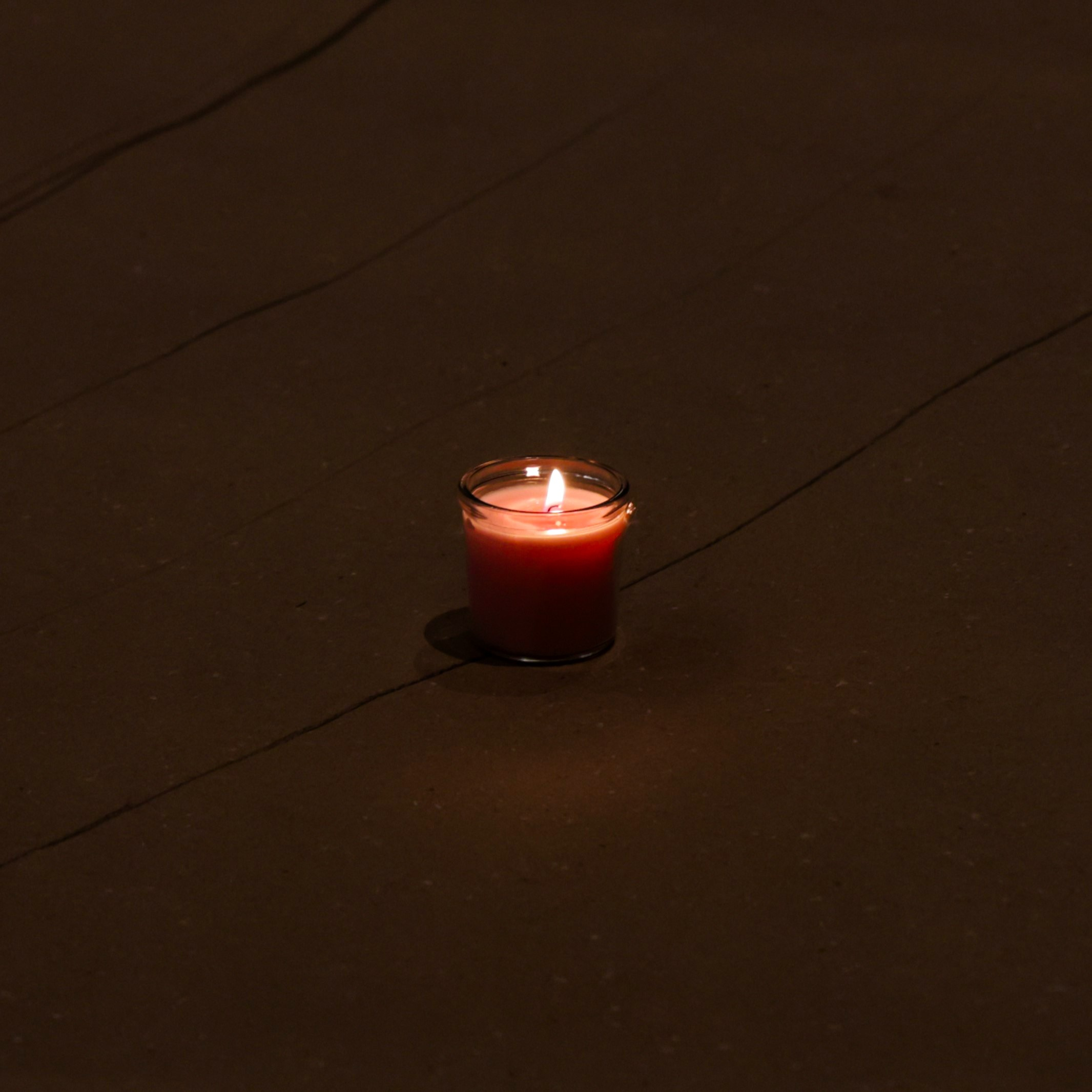 Nuit Blanche 2025. Portrait photographer based in Toronto — Blinova Mariia