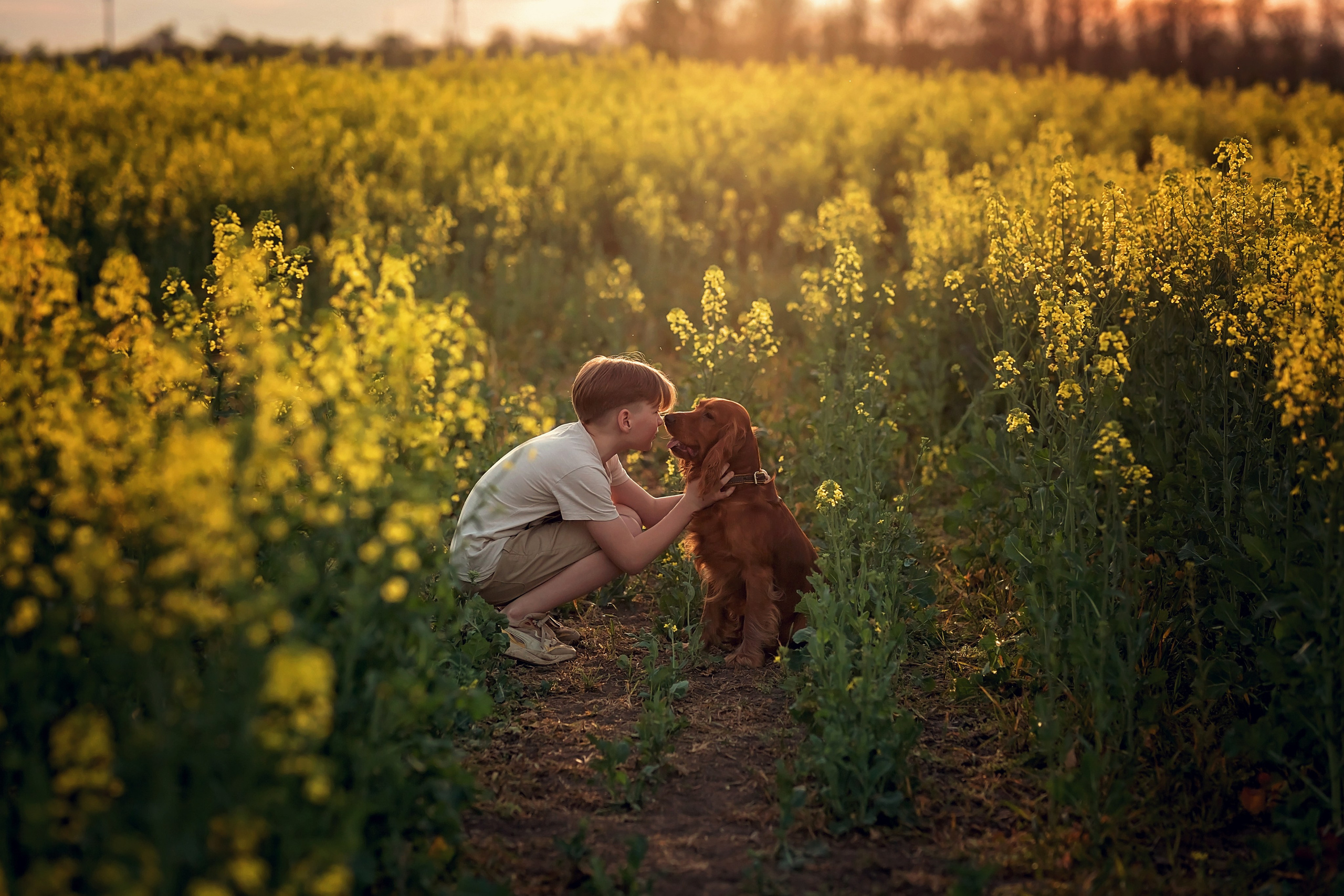 Рапс. Семейный и детский фотограф Екатерина Савёлова
