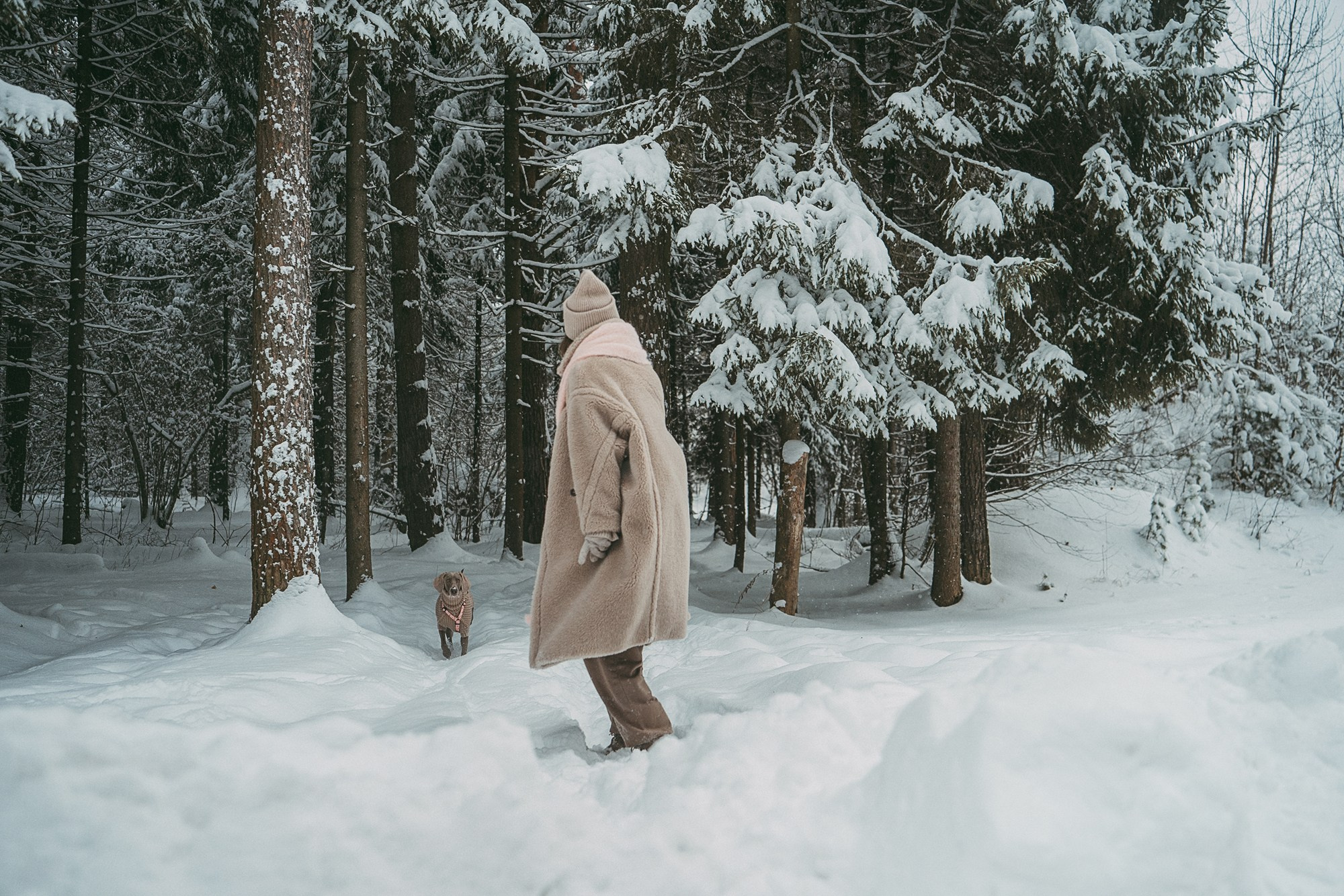 Лена и Фанни. Фотограф анималист в Москве и Санкт-Петербурге Свиридова Анна
