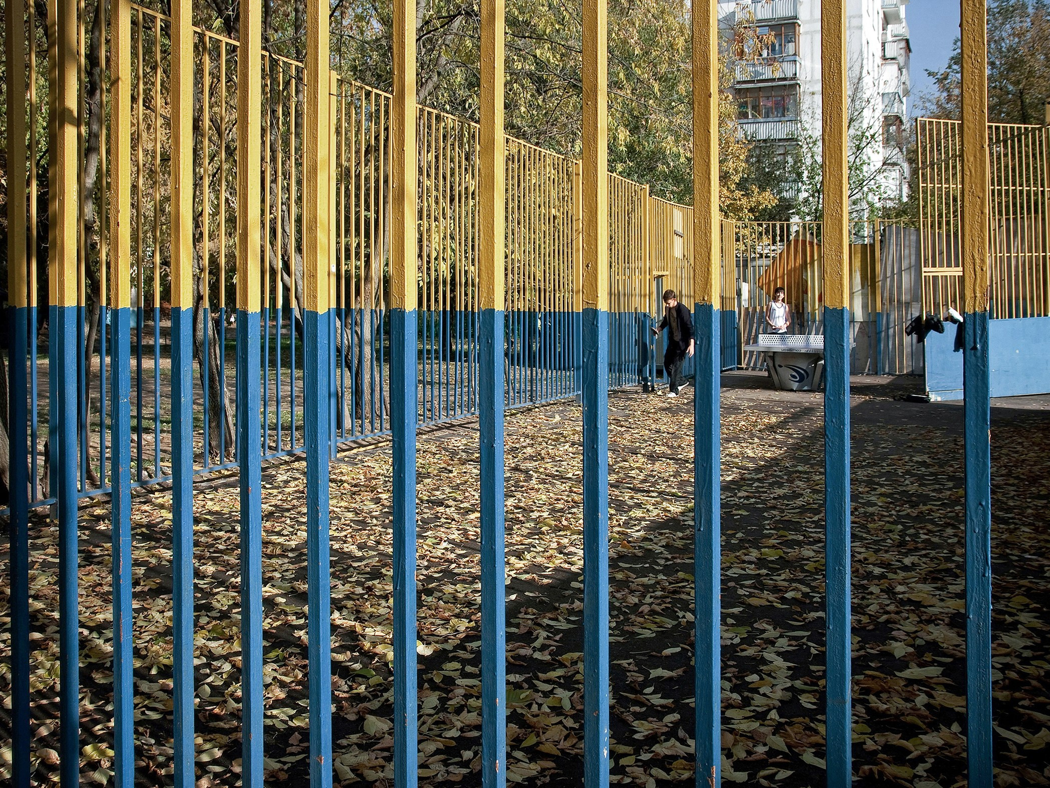 Симуляторы (Каталог № 1). Главная