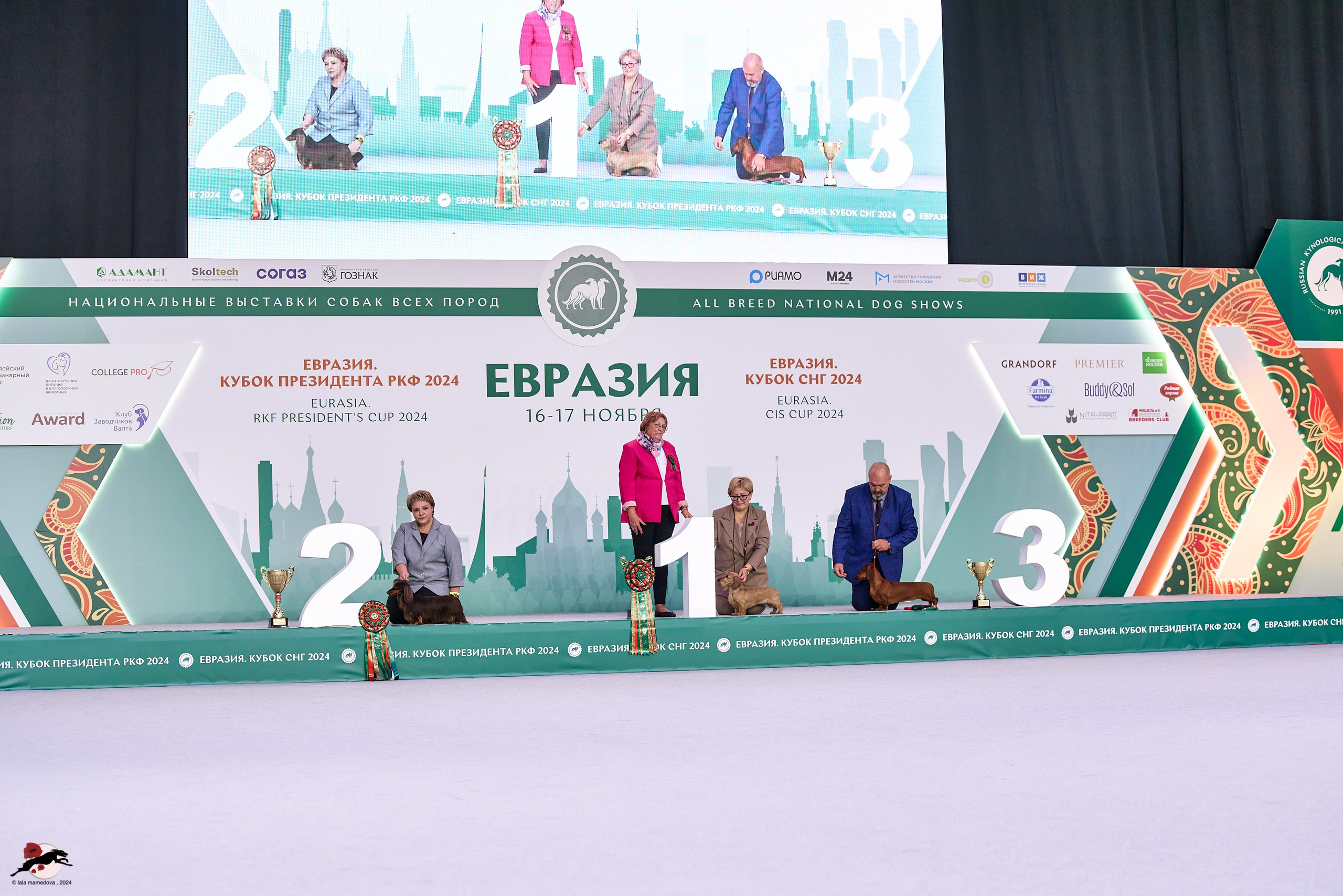 17.11.2024 «ЕВРАЗИЯ. КУБОК СНГ 2024»